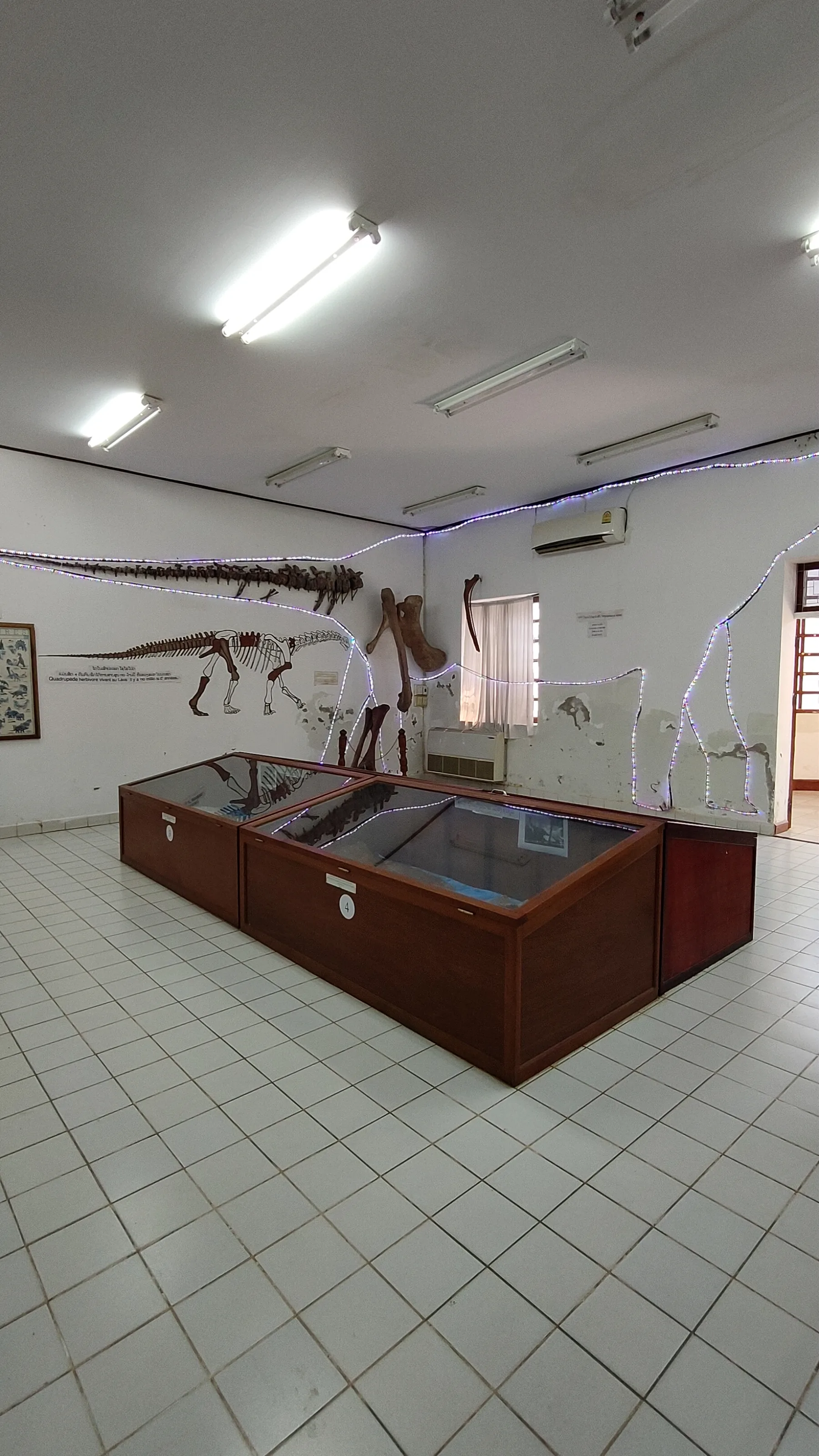 Savanaketh - musée dinosaure