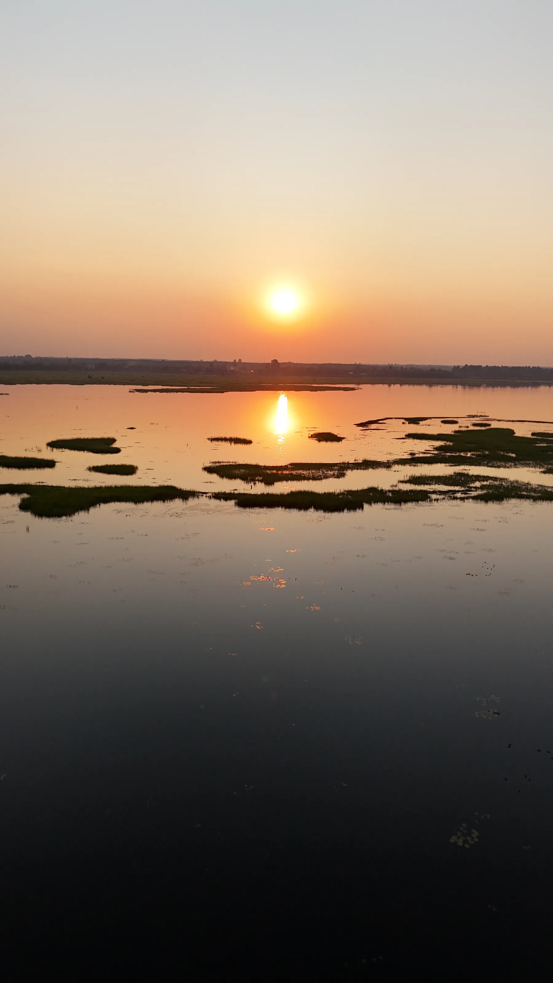lac