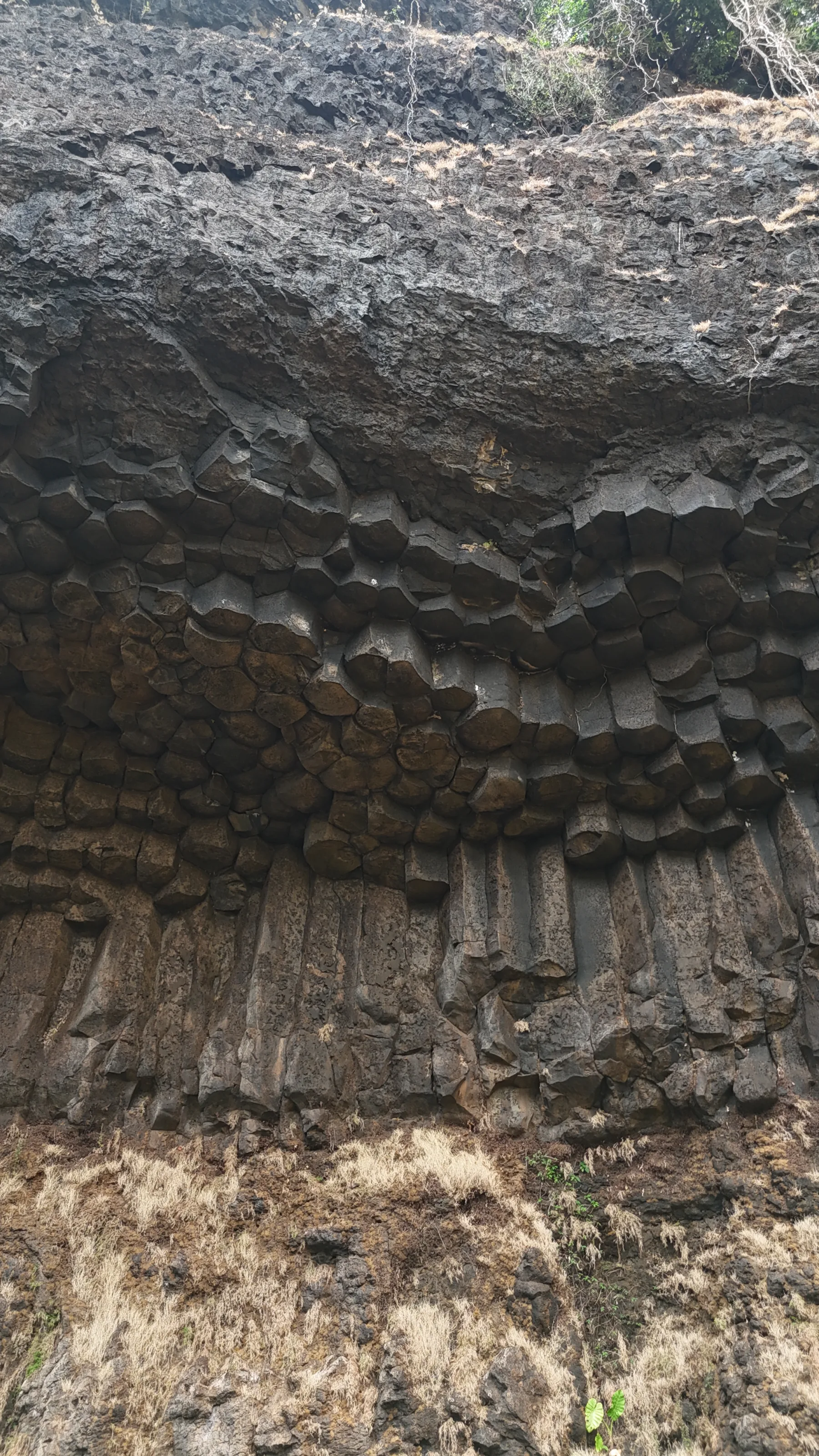Plateau des Bolavens - Tad Jarou Halang