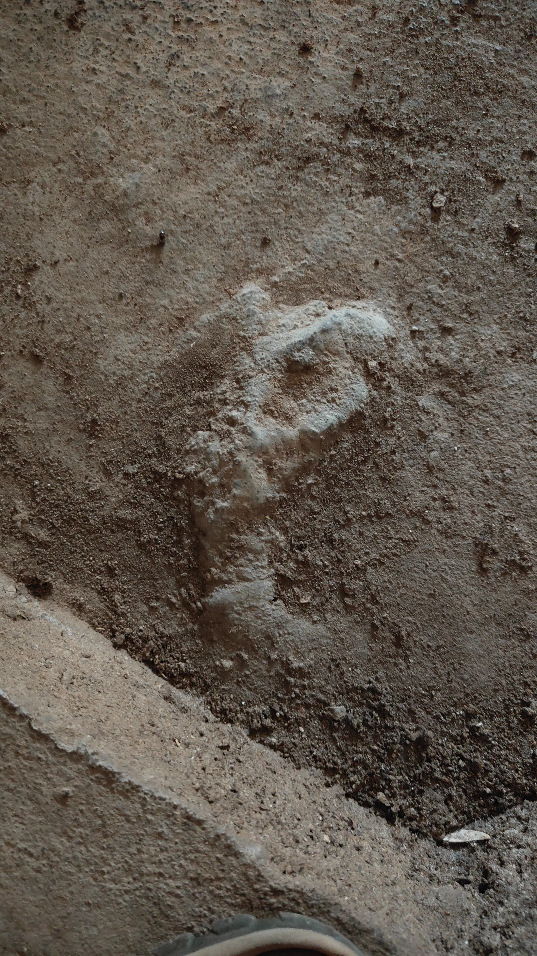 boucle de Thakekh - Elephant Cave