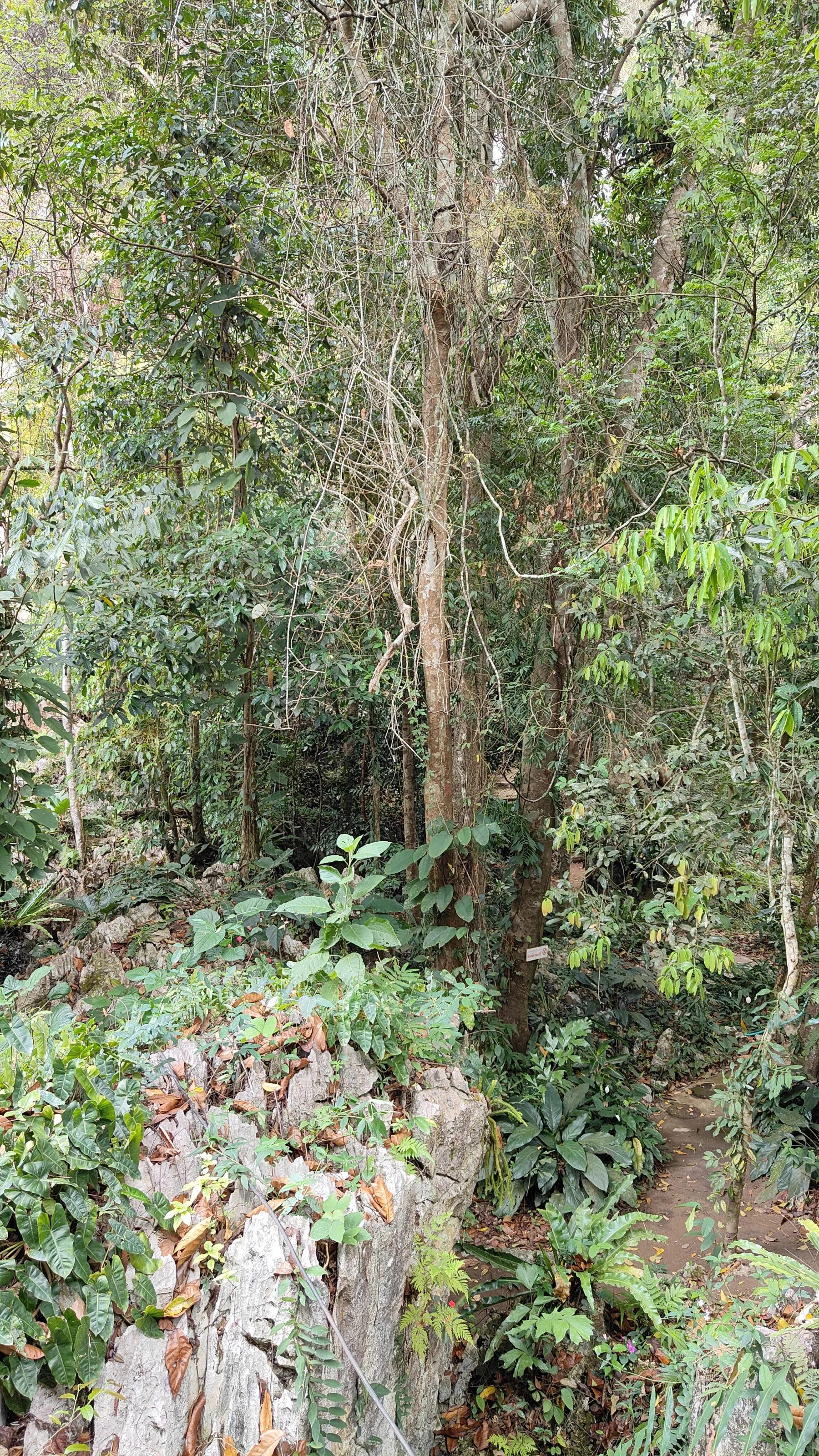 boucle de Thakekh - Dragon Cave