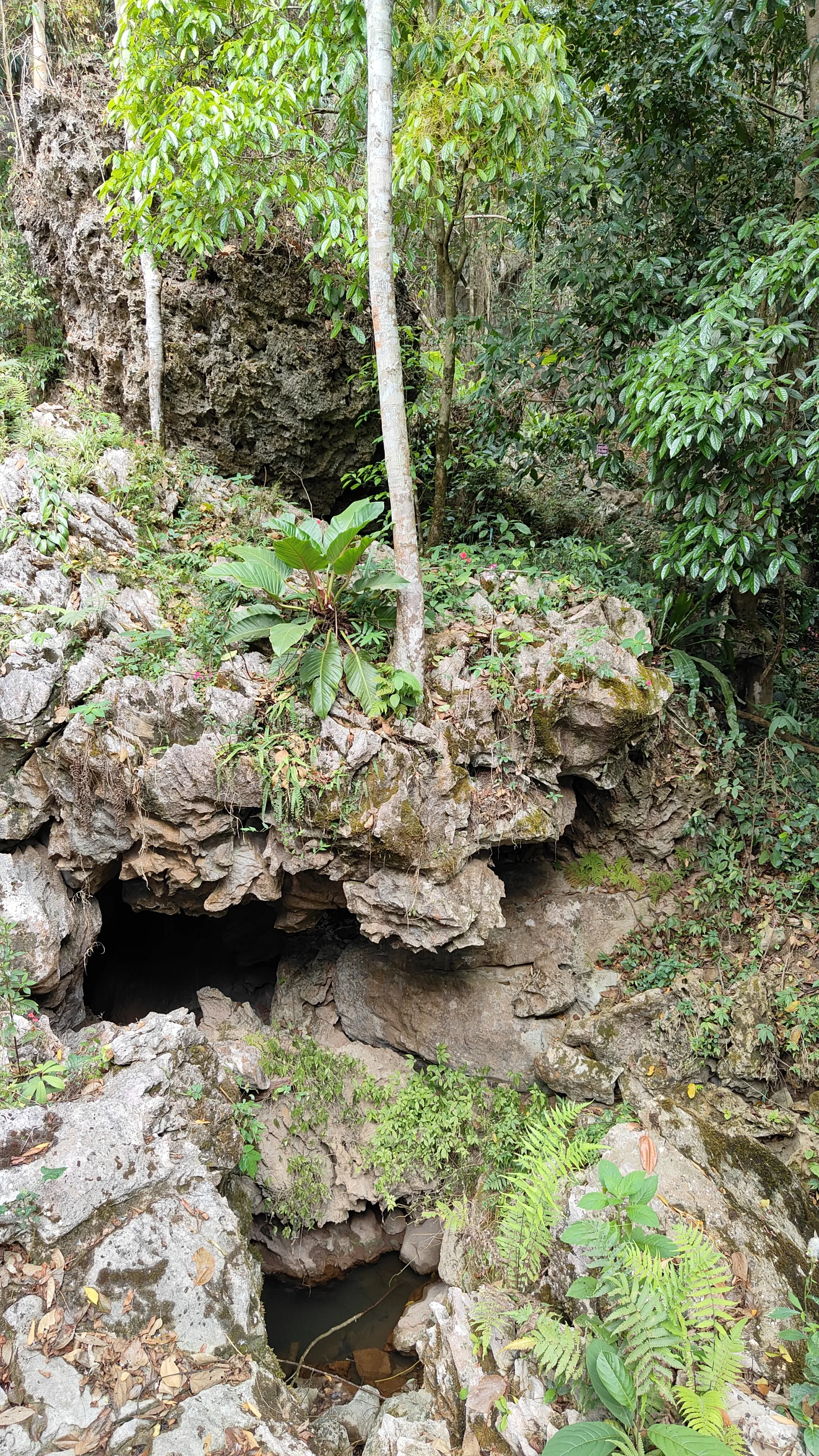 boucle de Thakekh - Dragon Cave