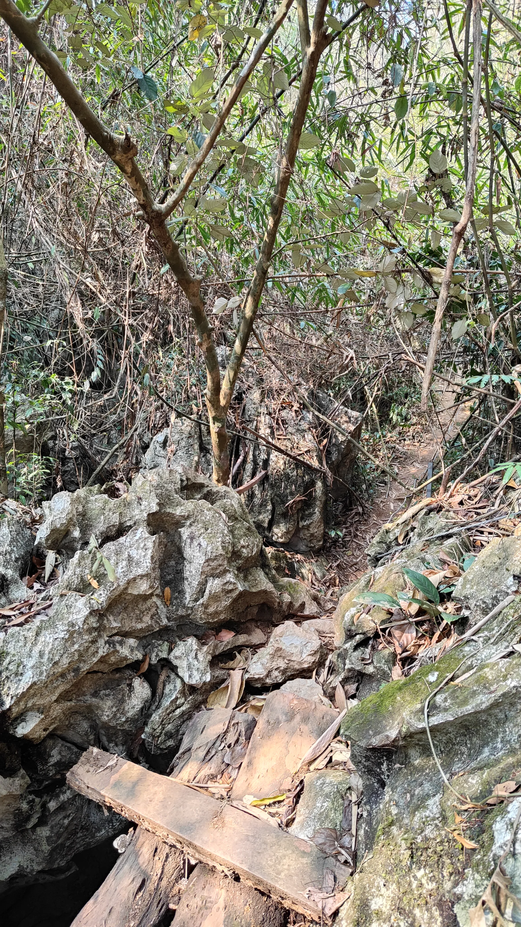 boucle de Thakekh - Dragon Cave