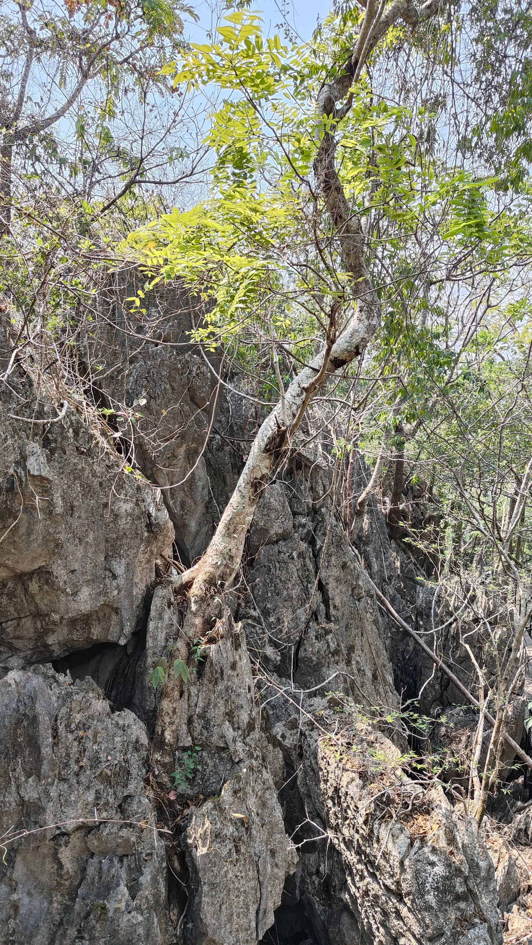 boucle de Thakekh - The rock viewpoint