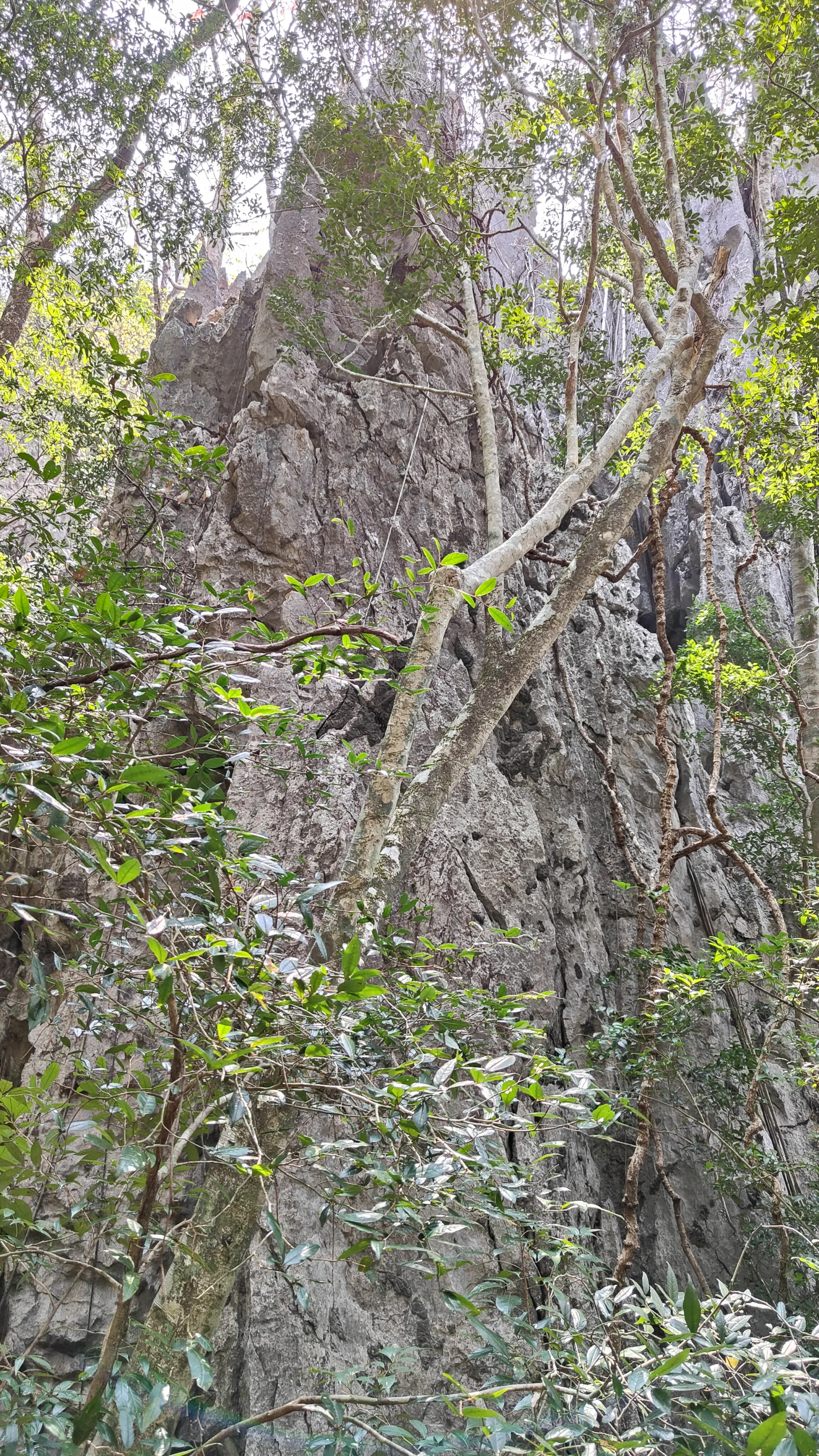 boucle de Thakekh - The rock viewpoint
