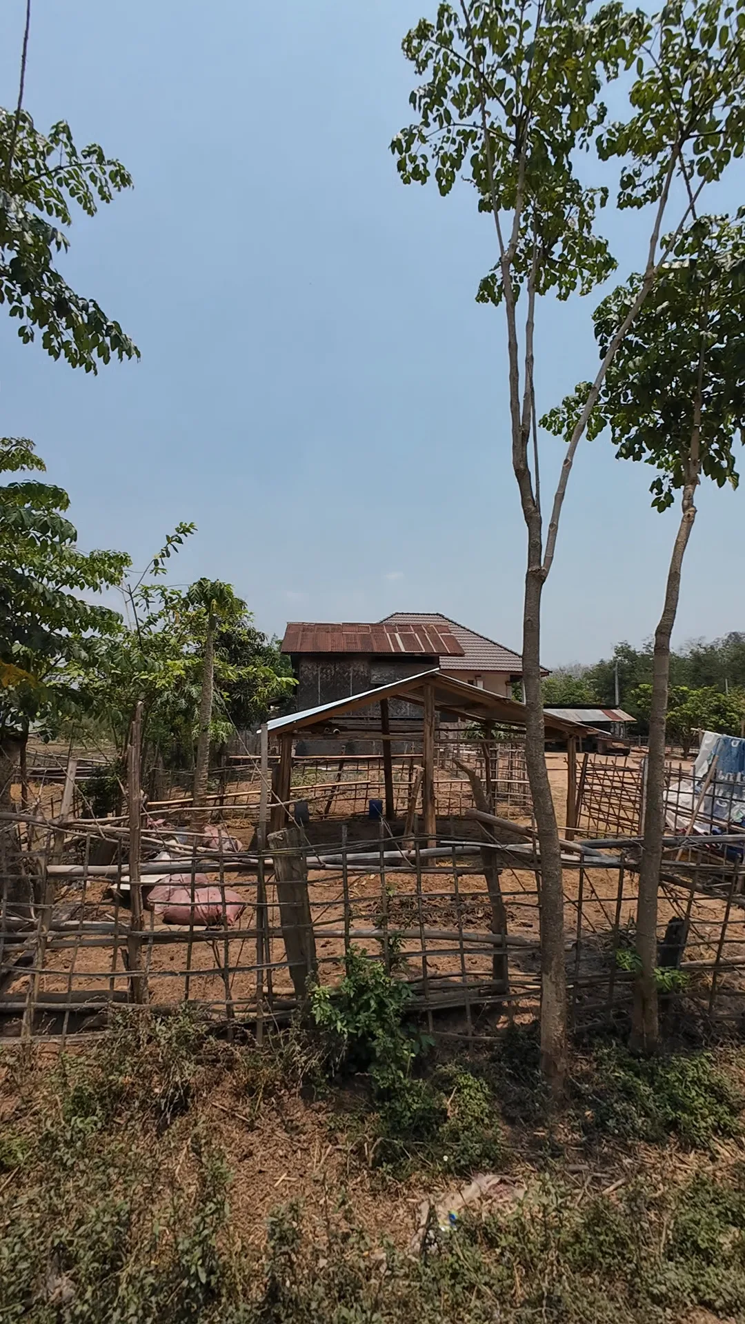 Luang Namtha