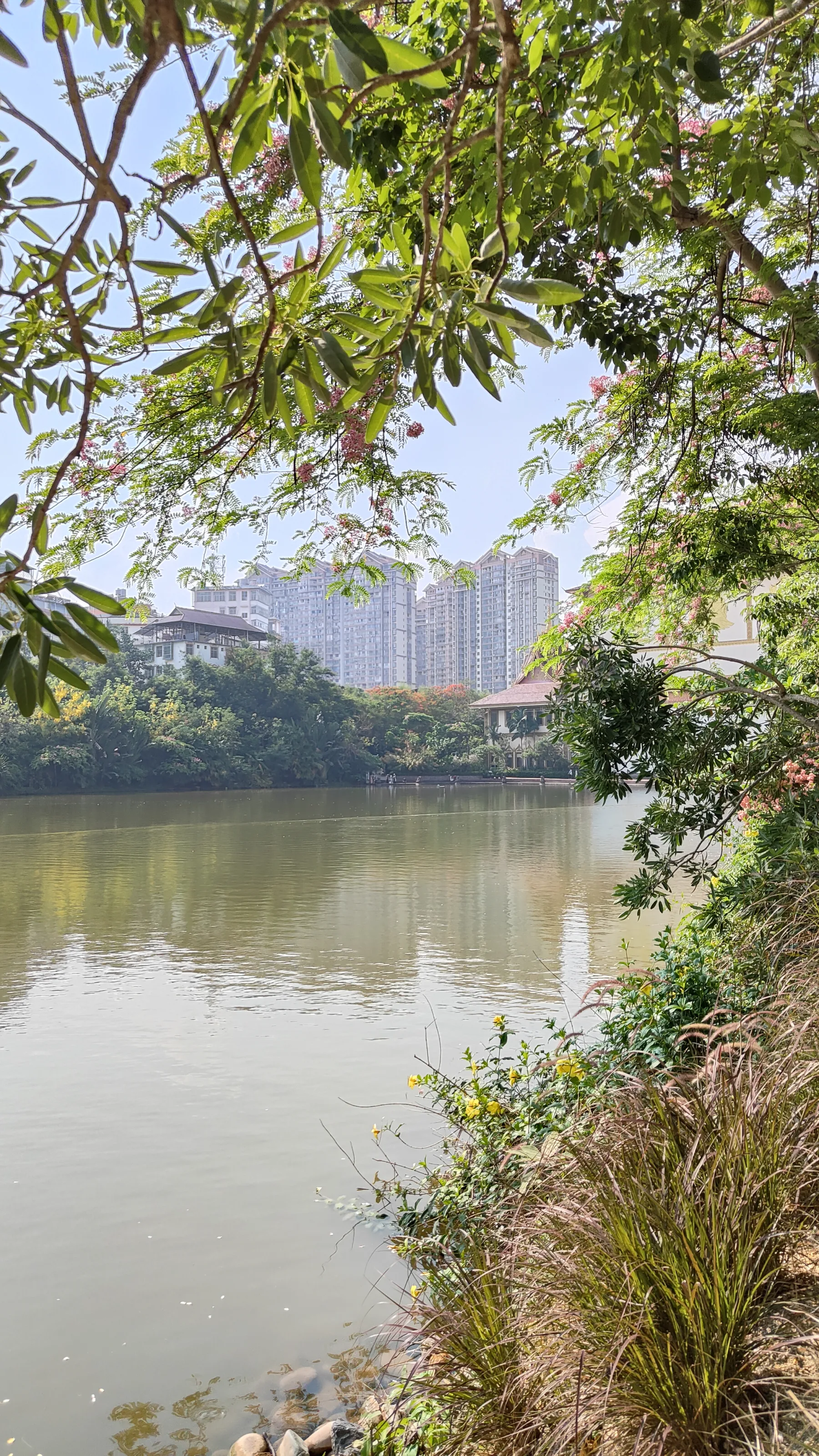 Manting Park - Yunnan