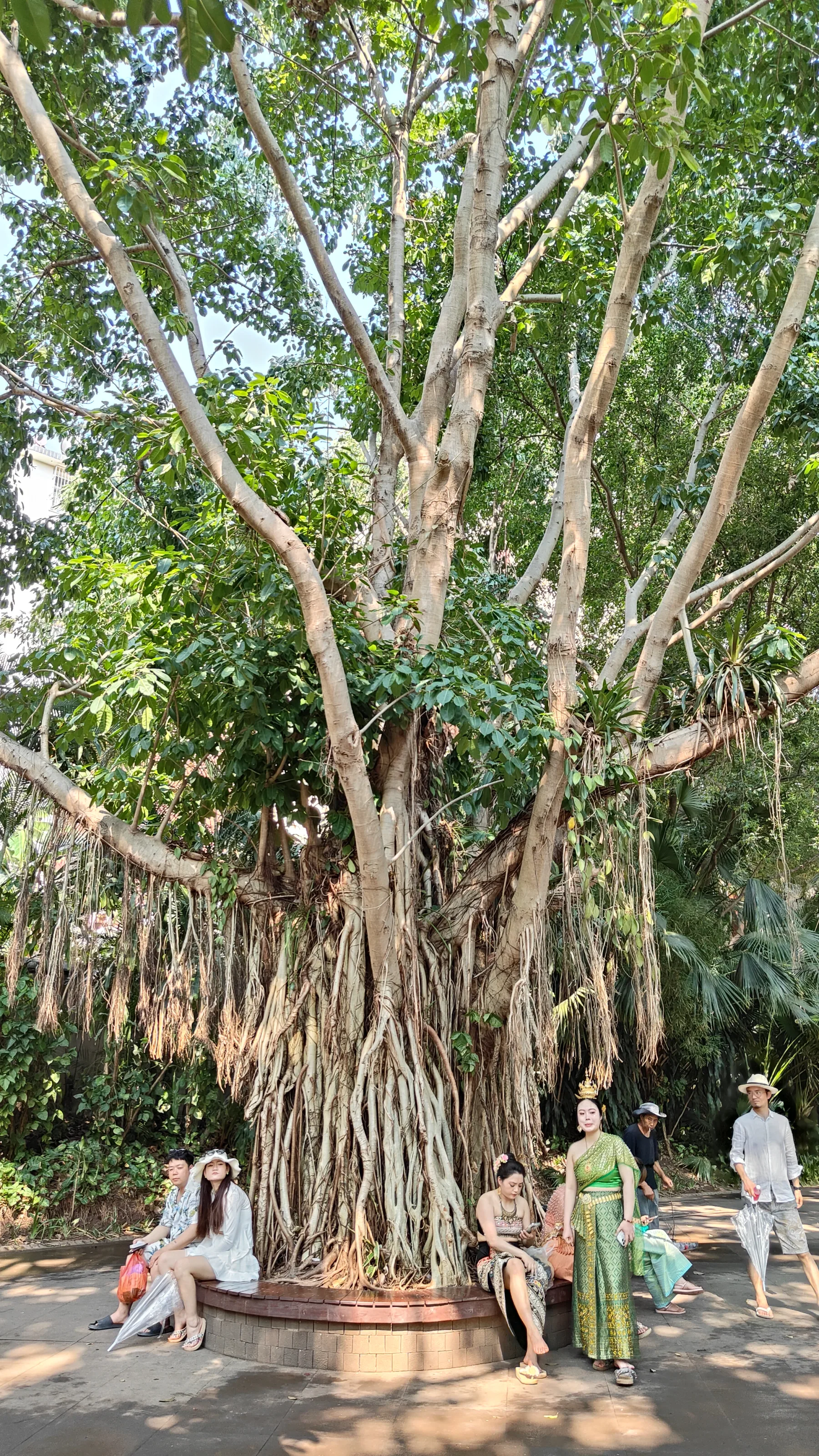 Manting Park - Yunnan