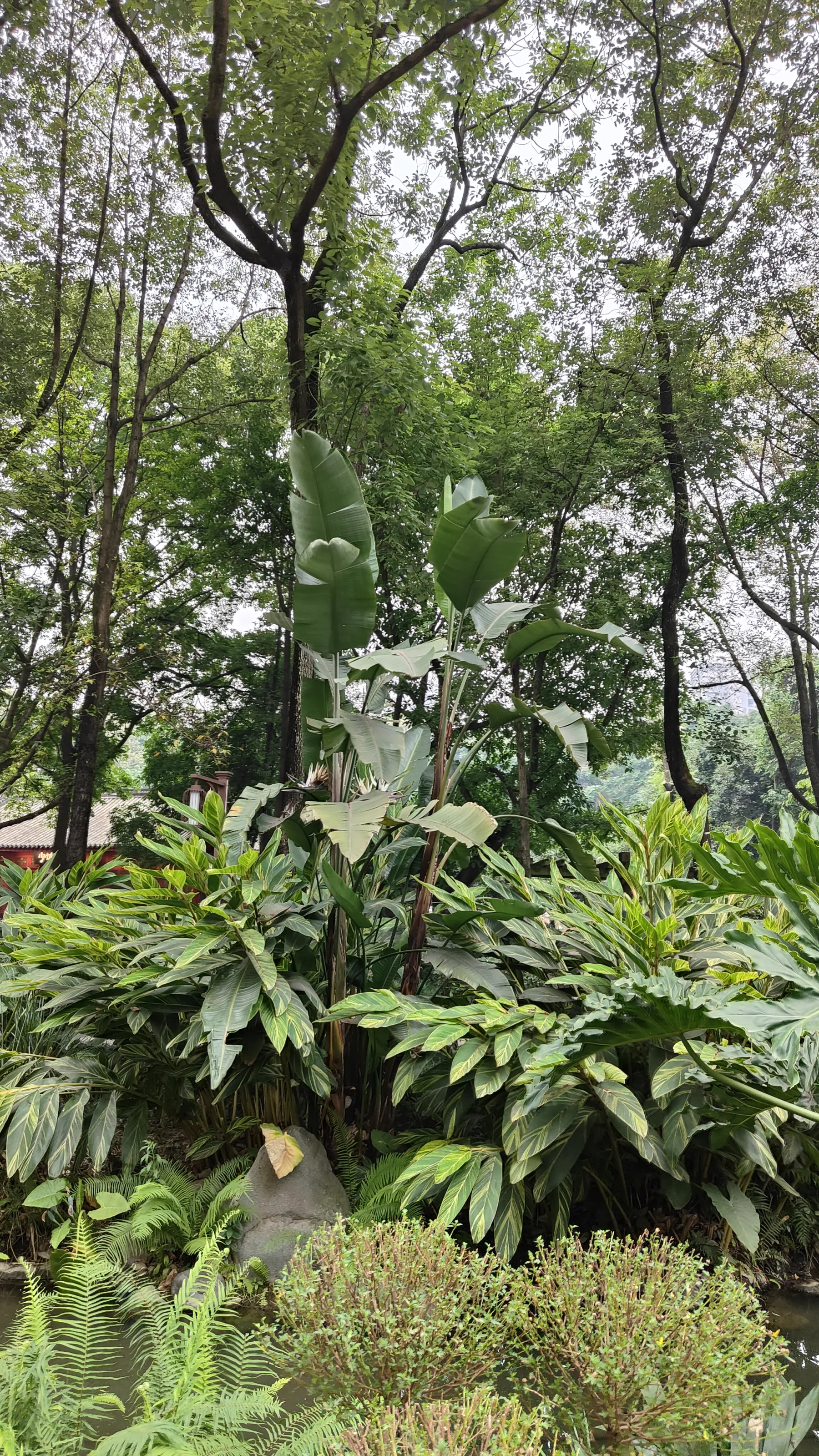 Chengdu Sichuan