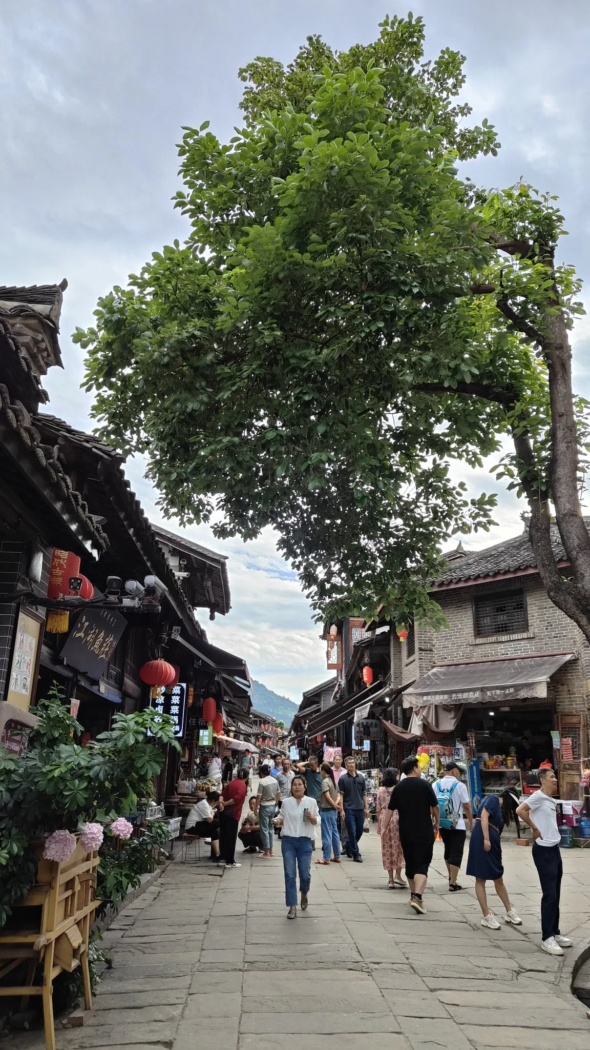 Zhaohua