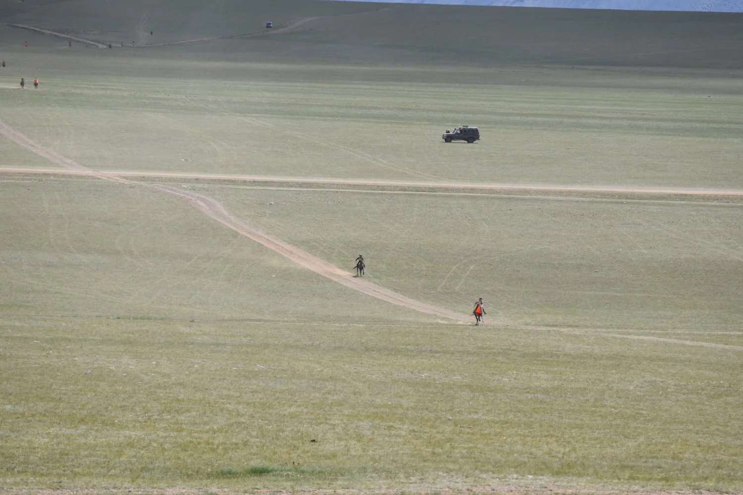 Naadam - Courses de chevaux