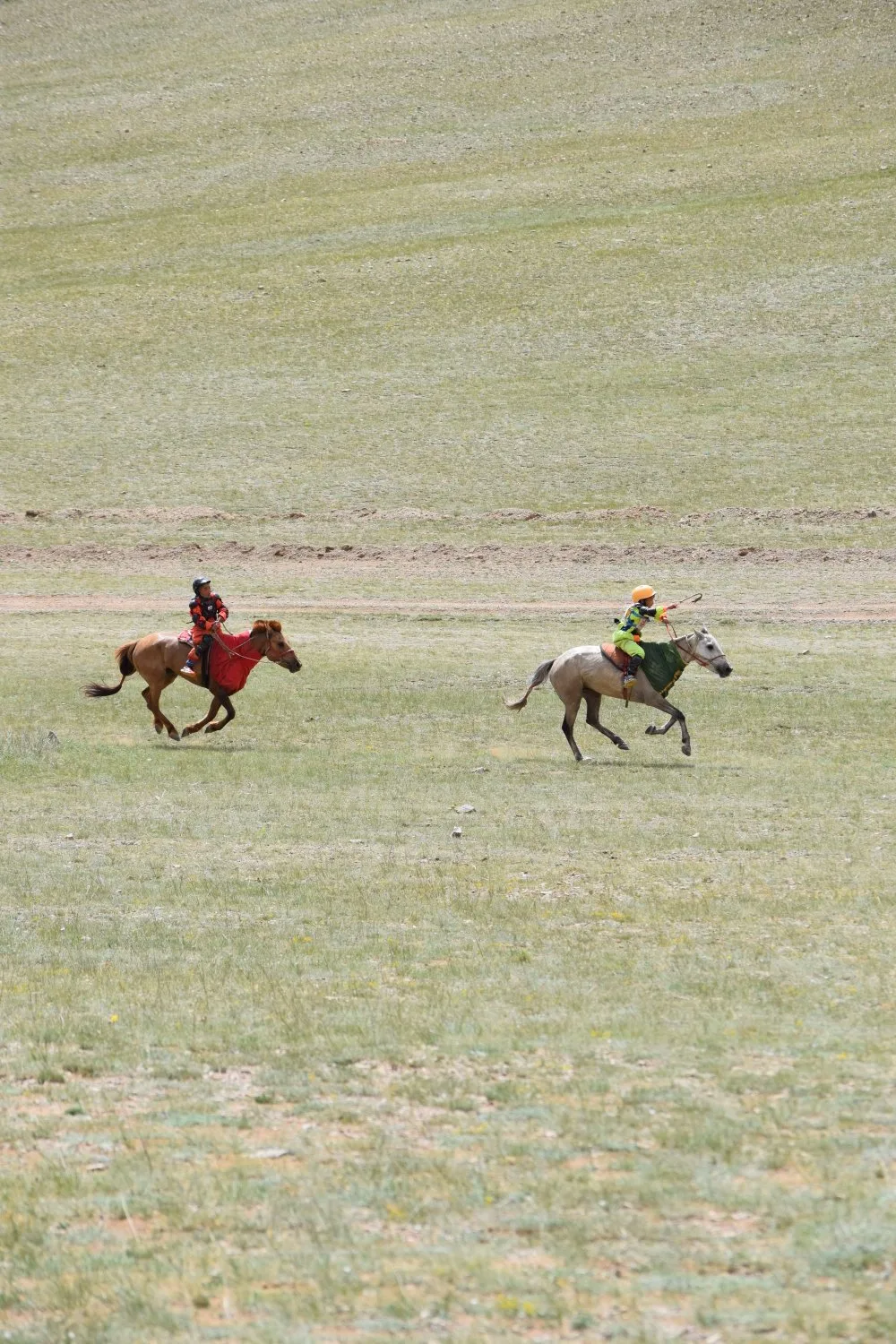 Naadam - Courses de chevaux