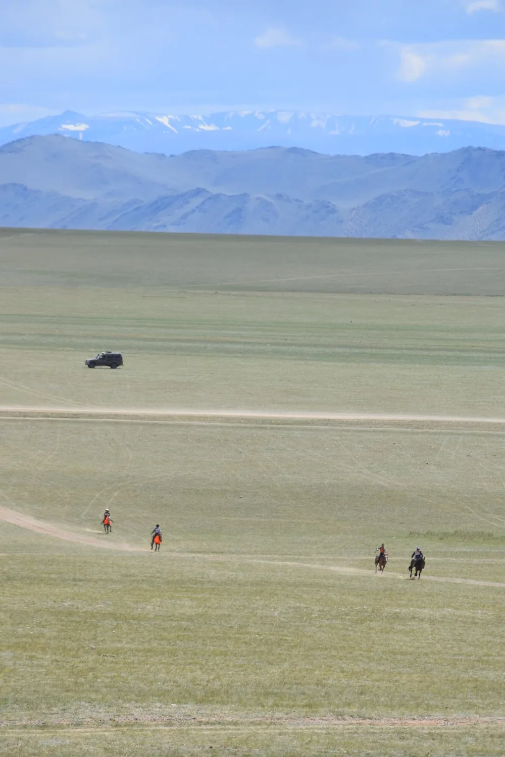Naadam - Courses de chevaux