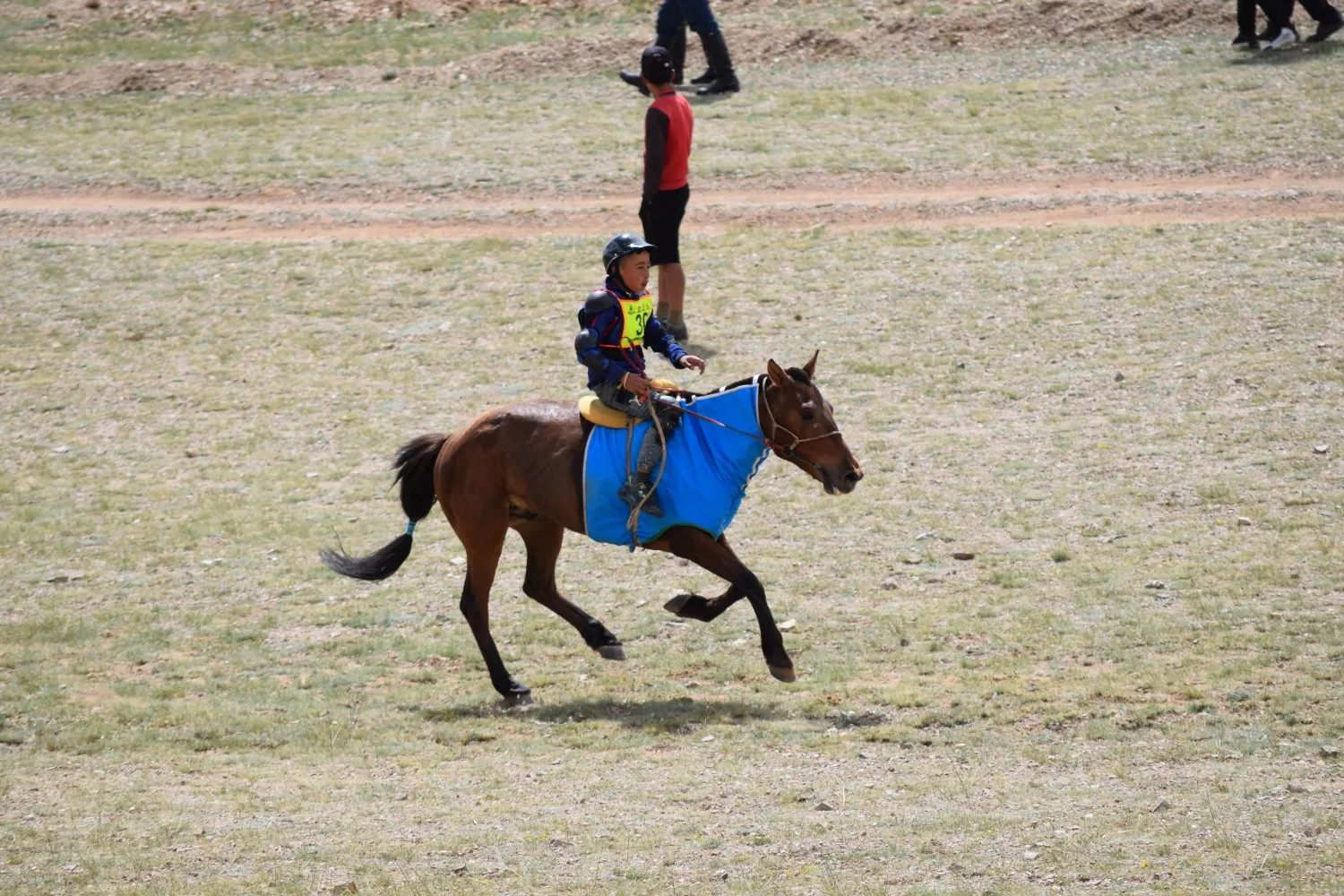 Naadam - Courses de chevaux