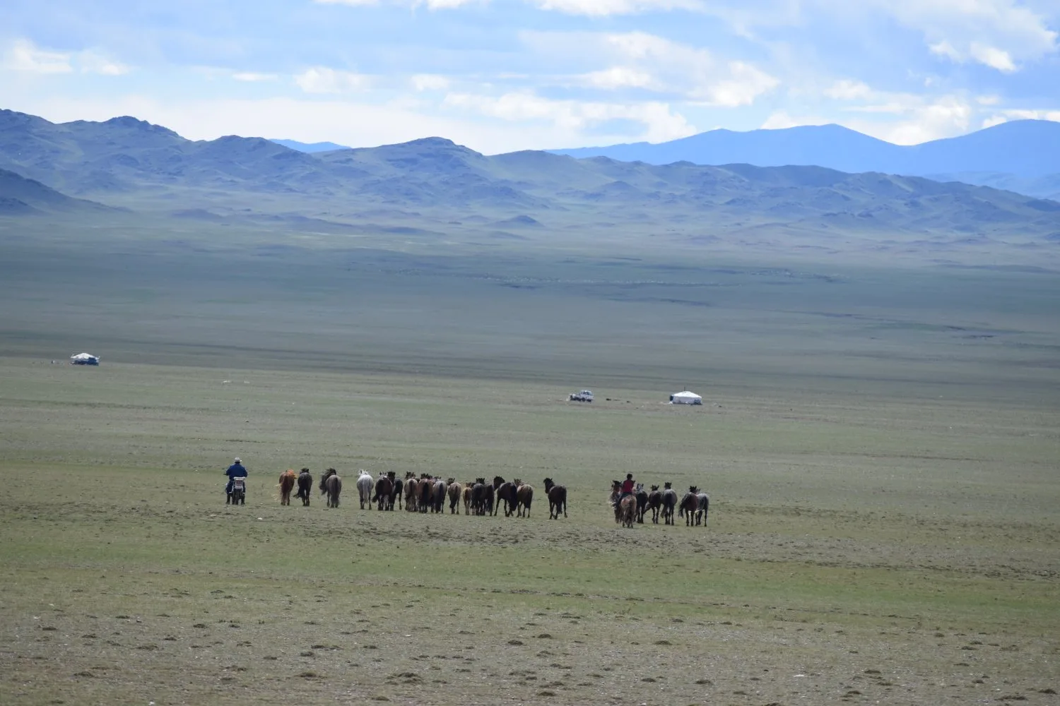 Piste steppes mongolie 