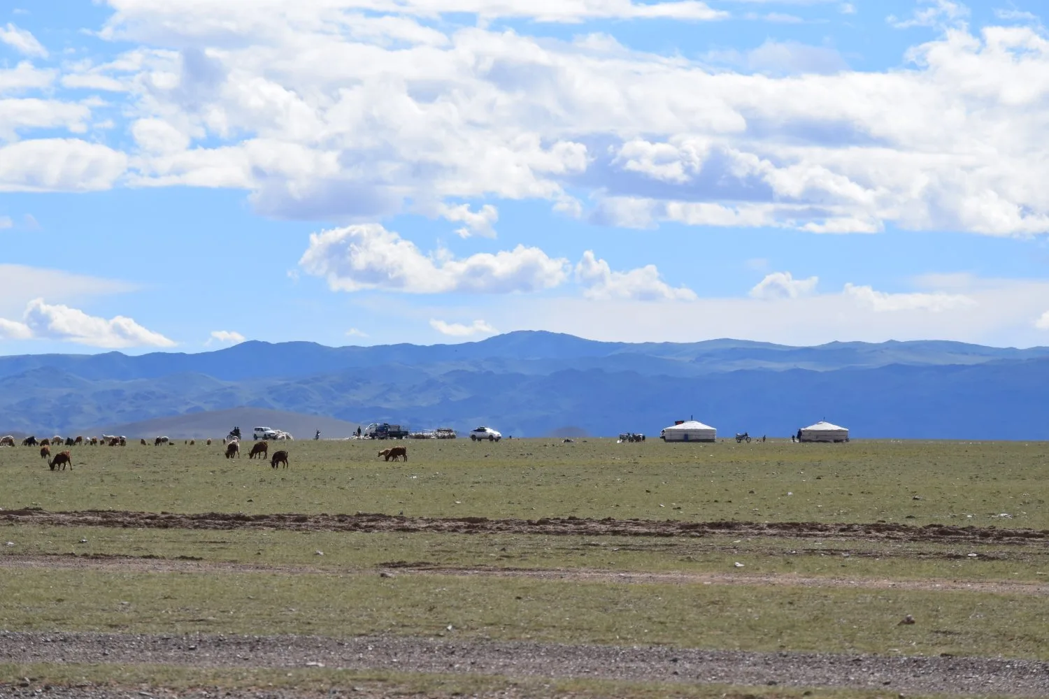 Piste steppes mongolie 