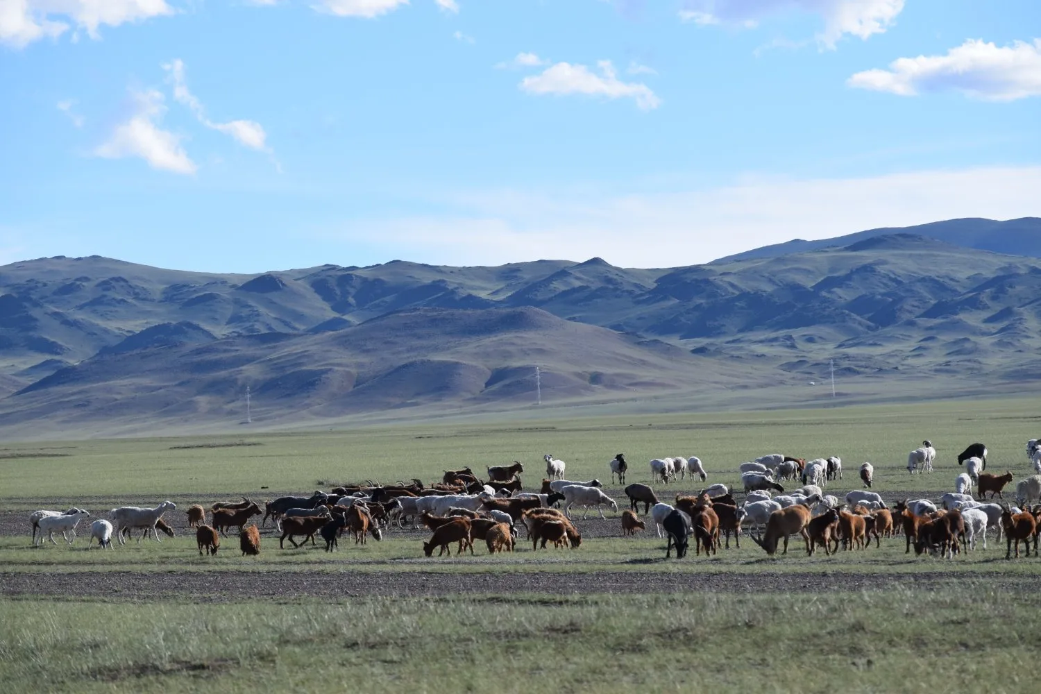 Piste steppes mongolie 