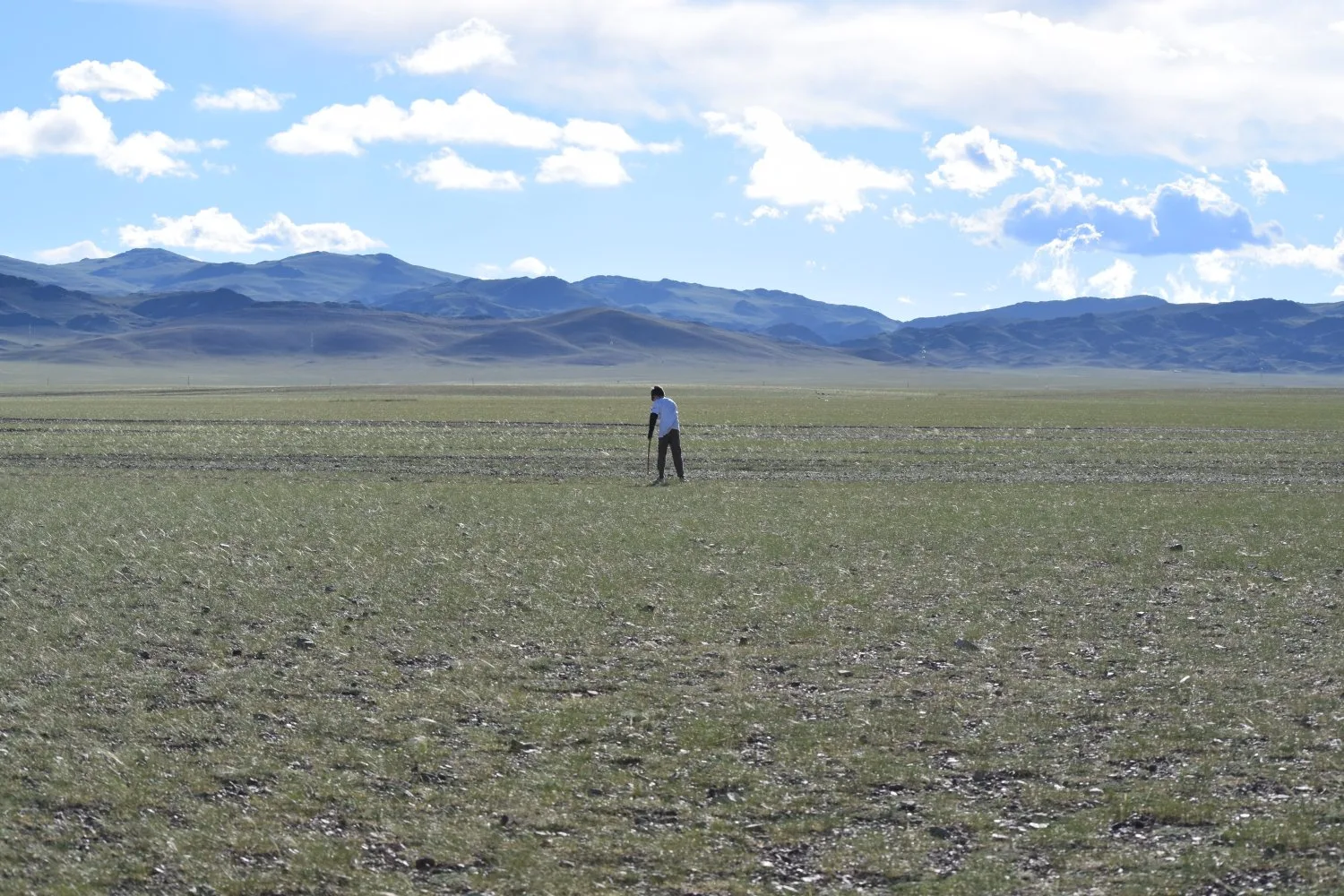 Piste steppes mongolie 