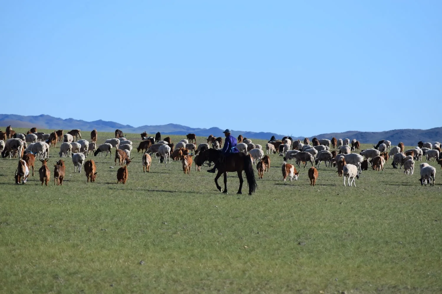 Piste steppes mongolie 