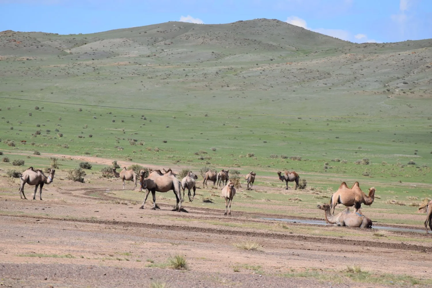 Piste steppes mongolie 