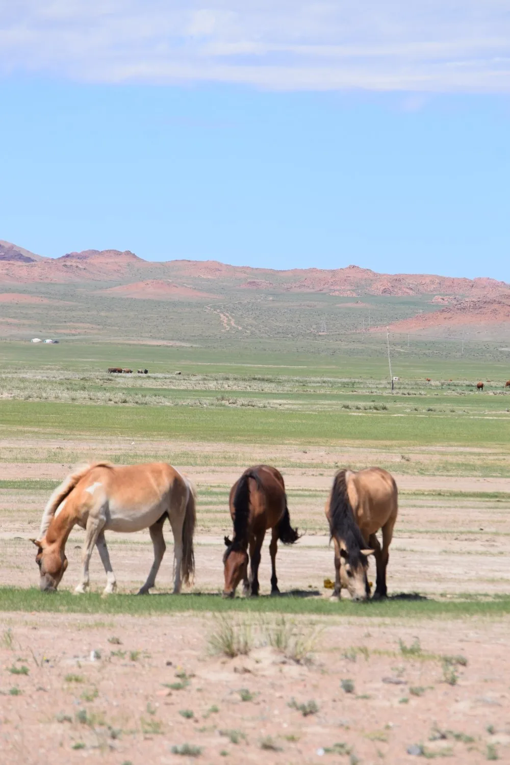 Piste steppes mongolie 