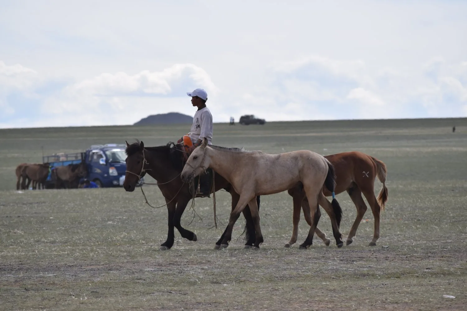 Fête steppes mongoles