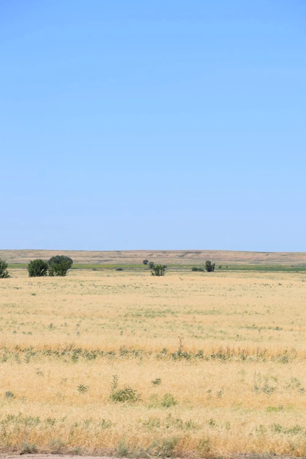 paysage kazakh
