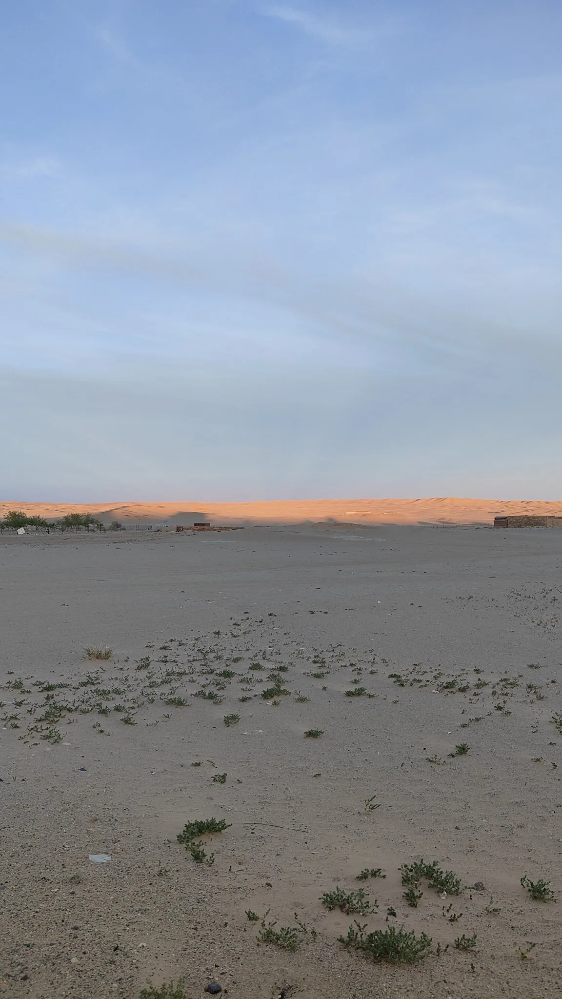 Mongolie