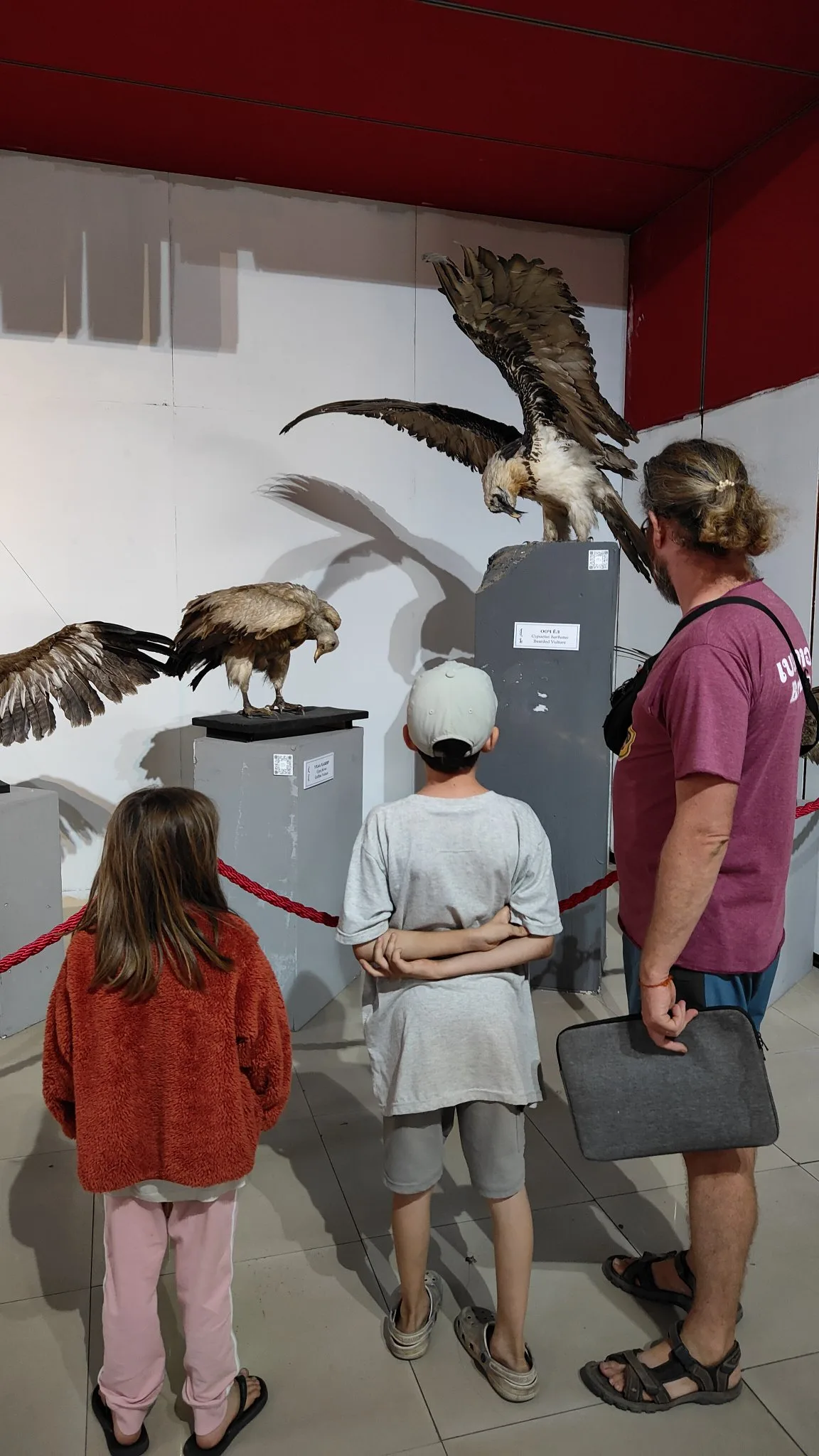 Oulan-Bator - Muséum d'histoire naturelle