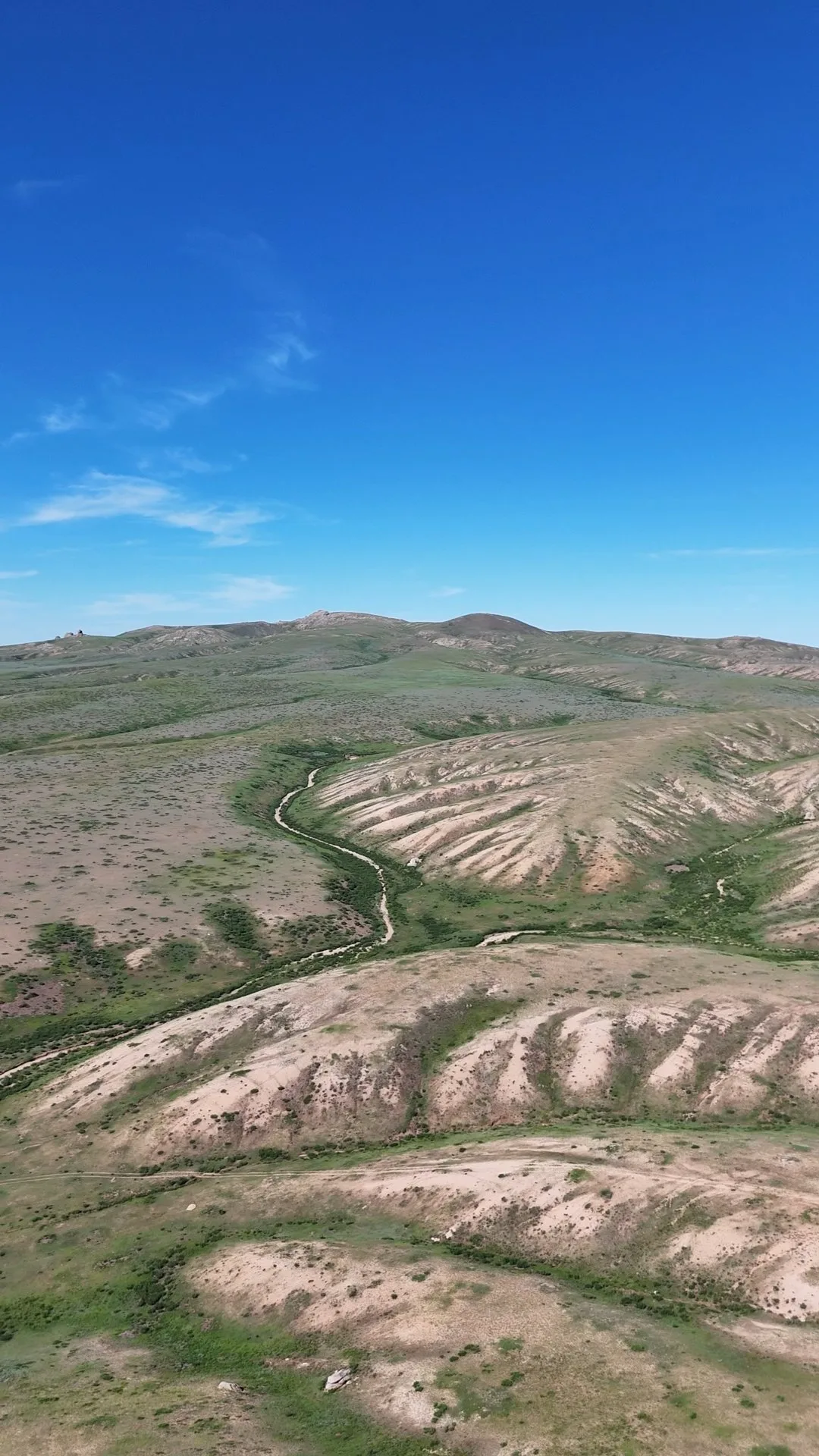 spot steppes
