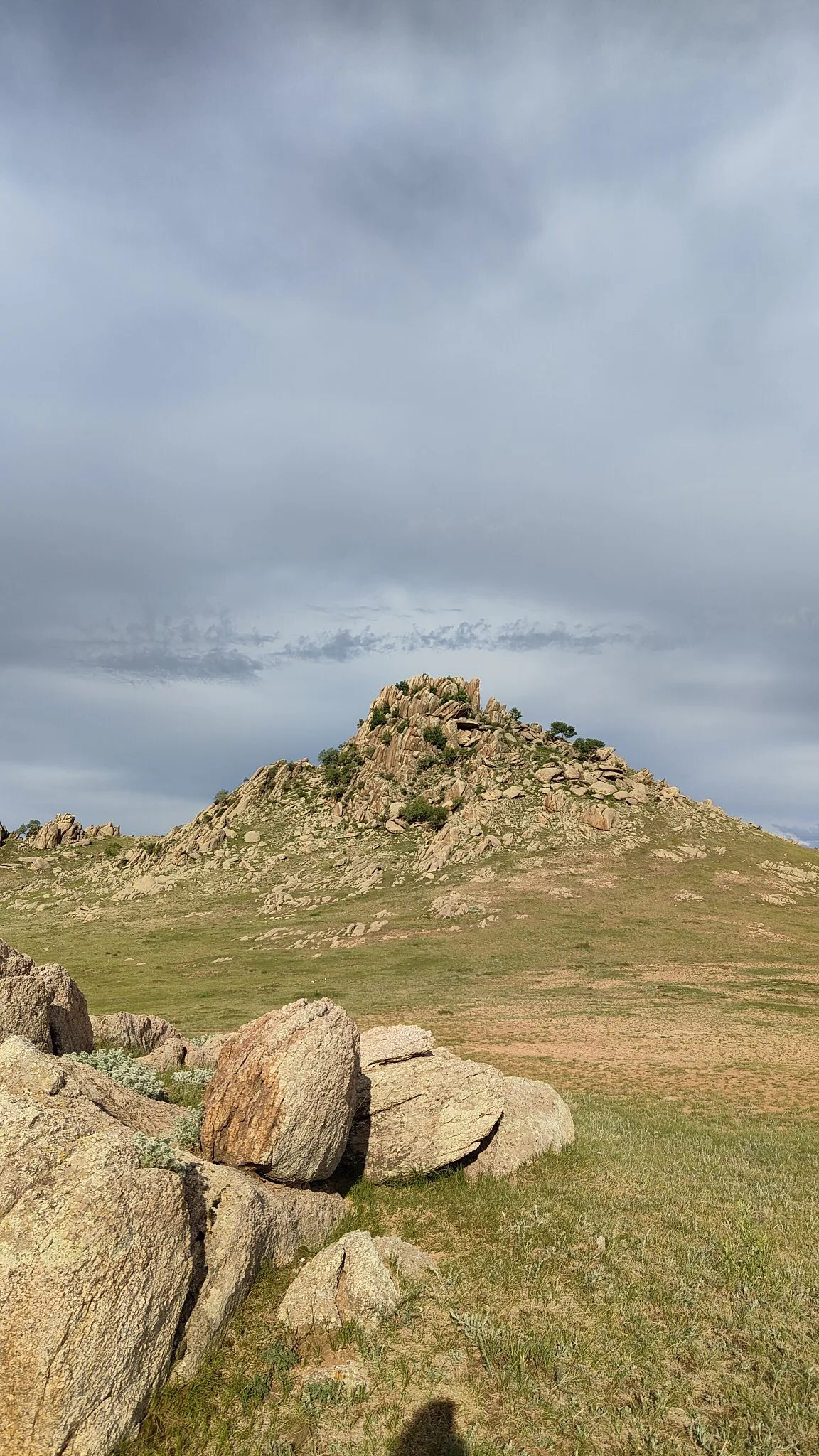 spot steppes