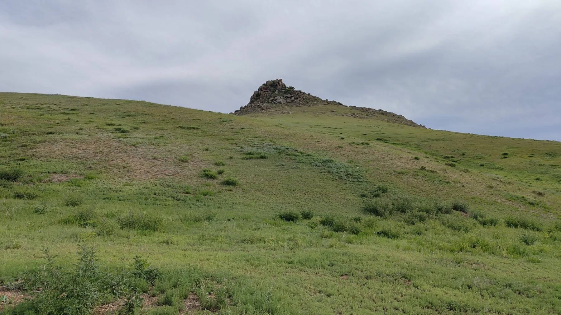 spot steppes