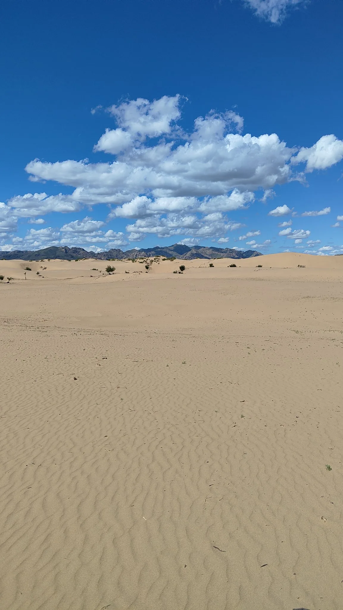Mini Gobi