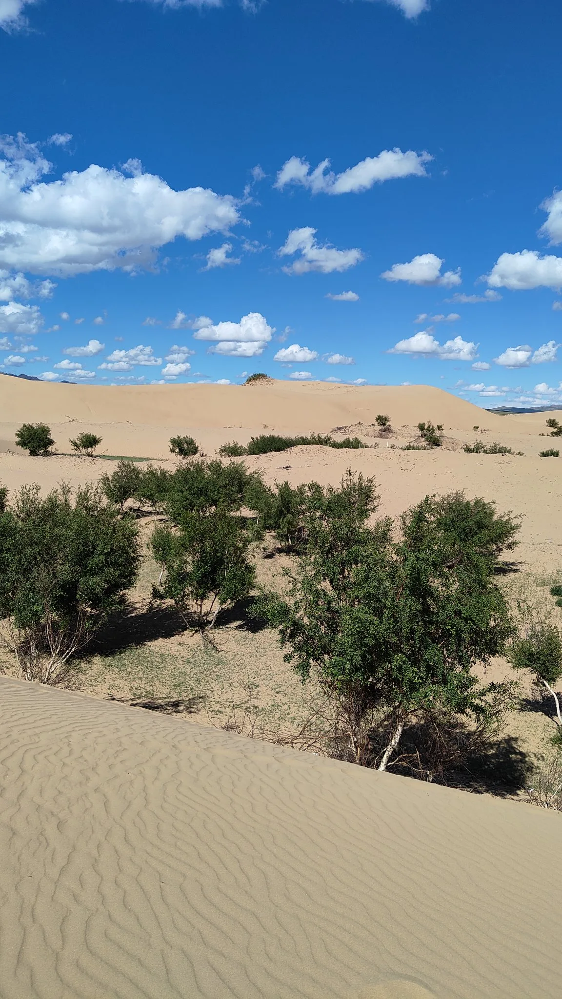 Mini Gobi
