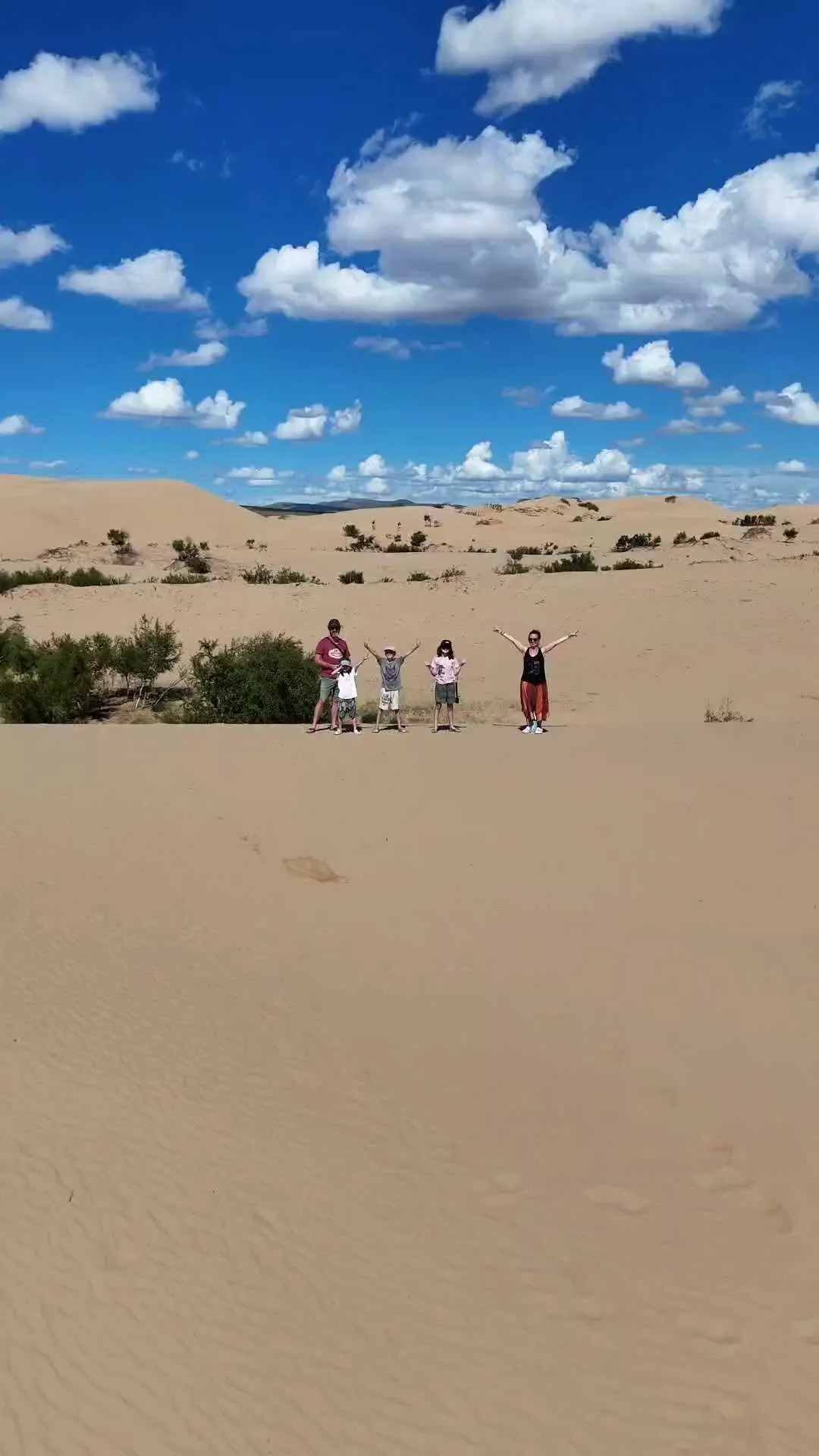 Mini Gobi