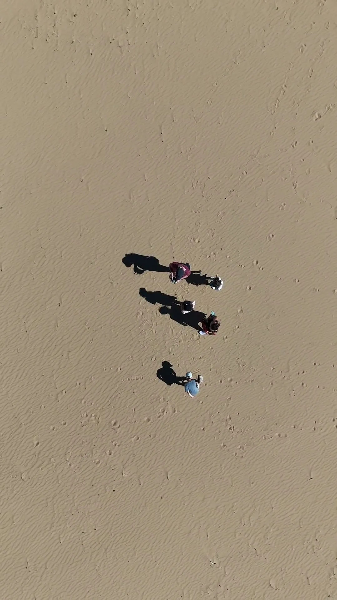 Mini Gobi