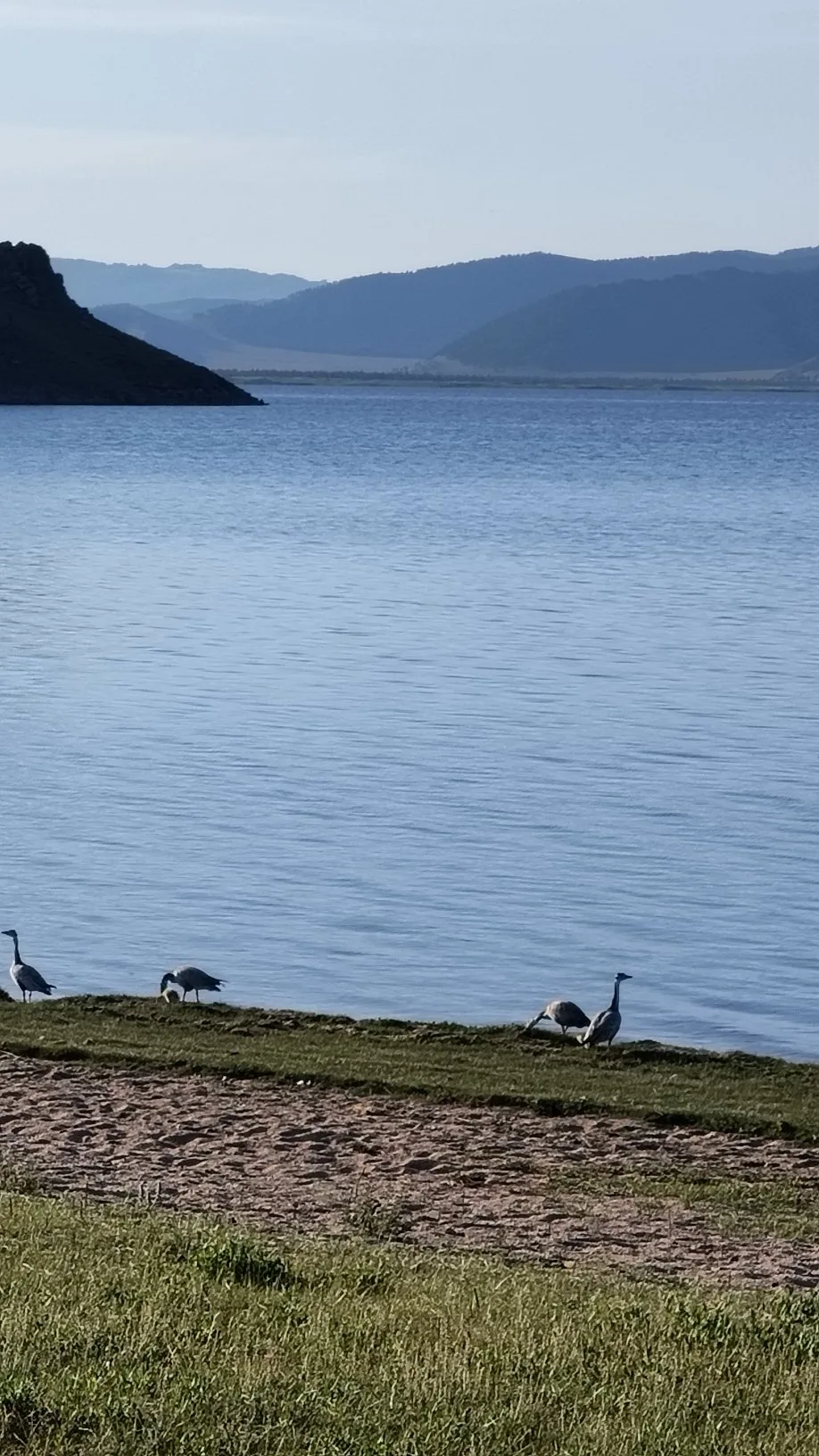 lac Terkhiin Tsagaan - richesses naturelles