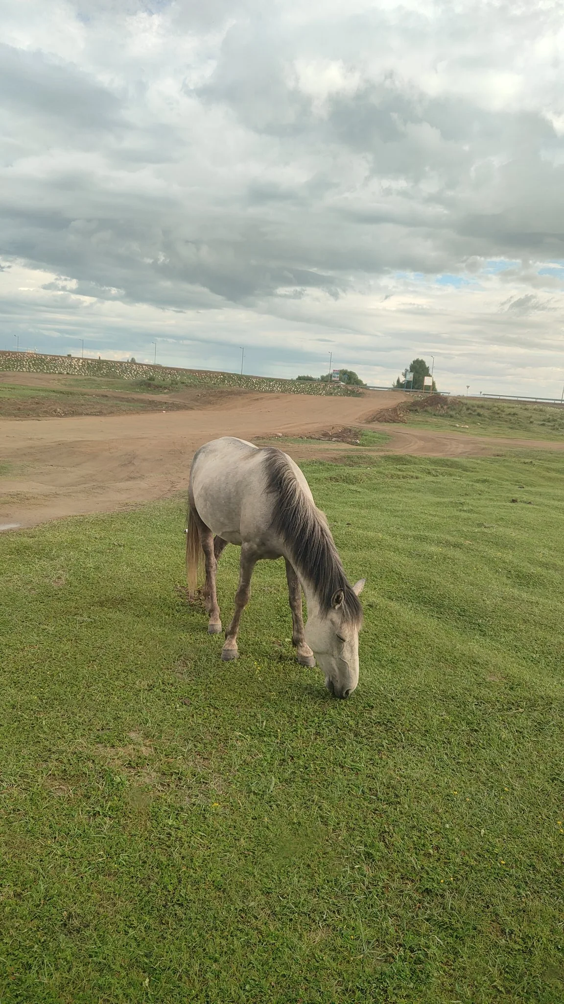 Ulaangom