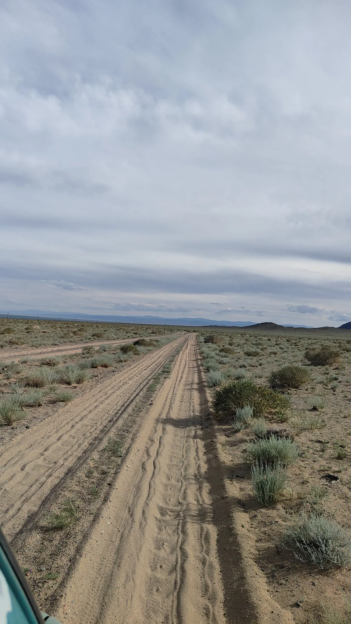 Steppes mongolie