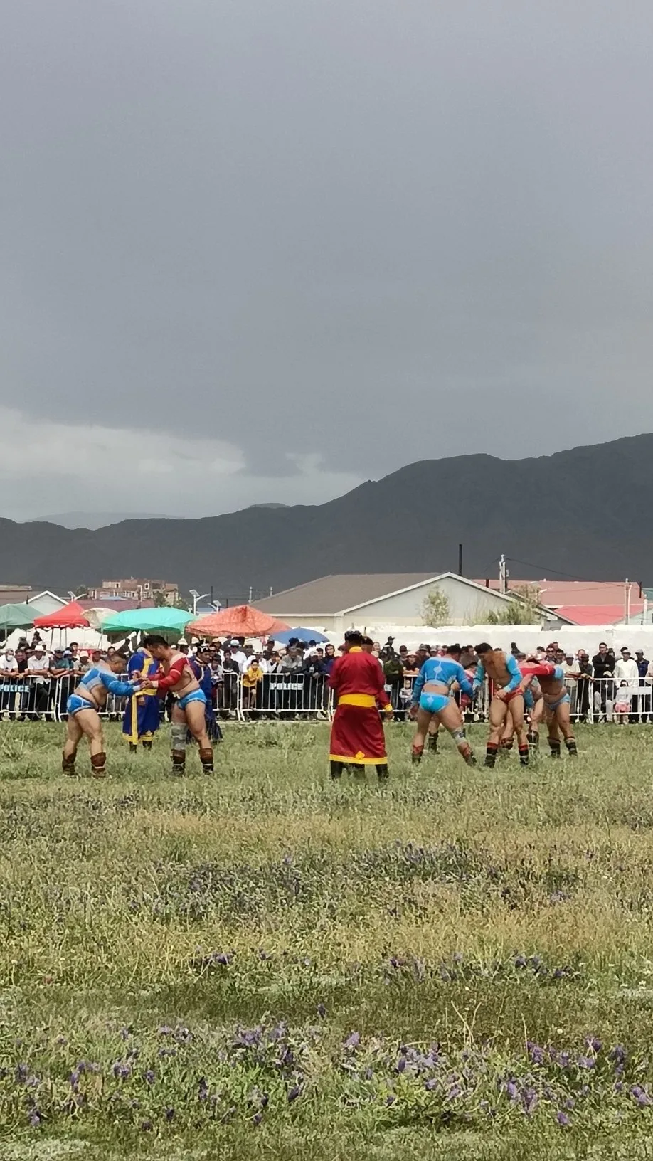 Naadam - Lutte mongole