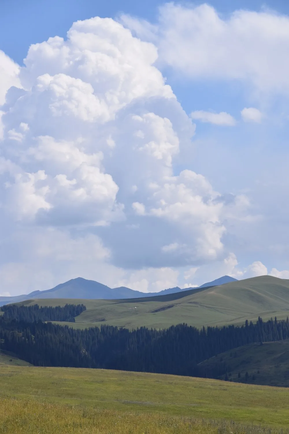 paysage