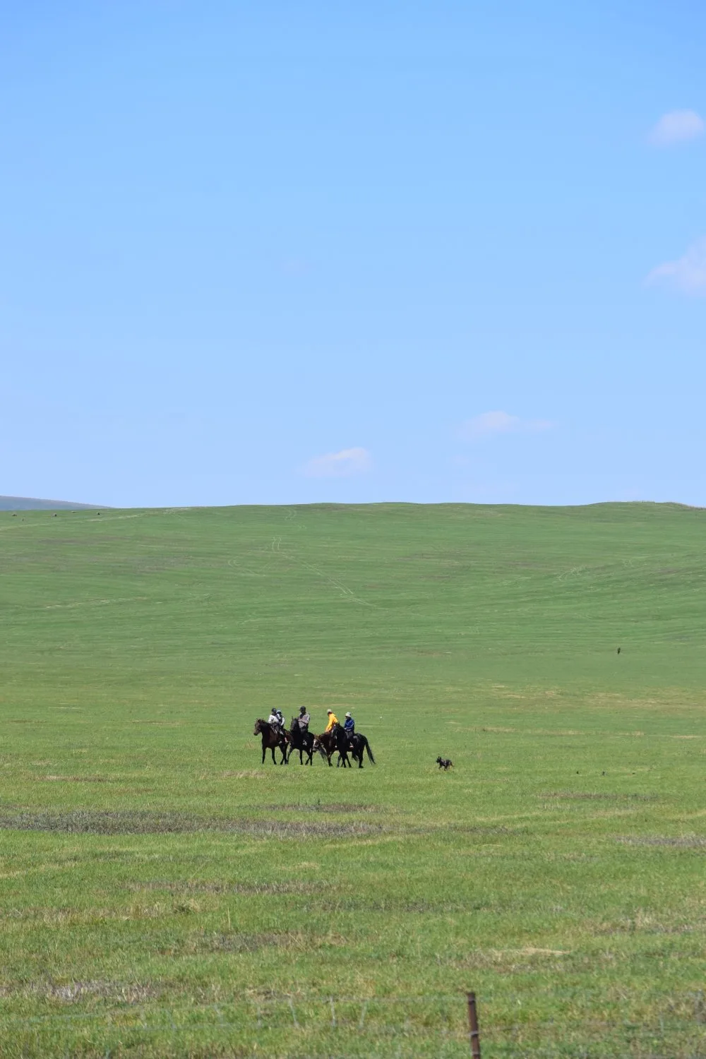 paysage