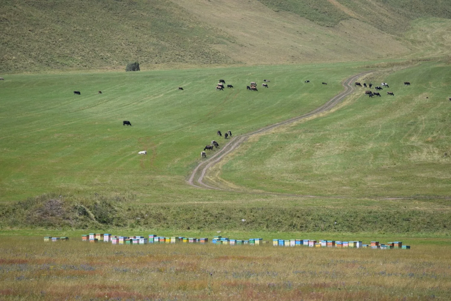 col de Kyzyl Kiya