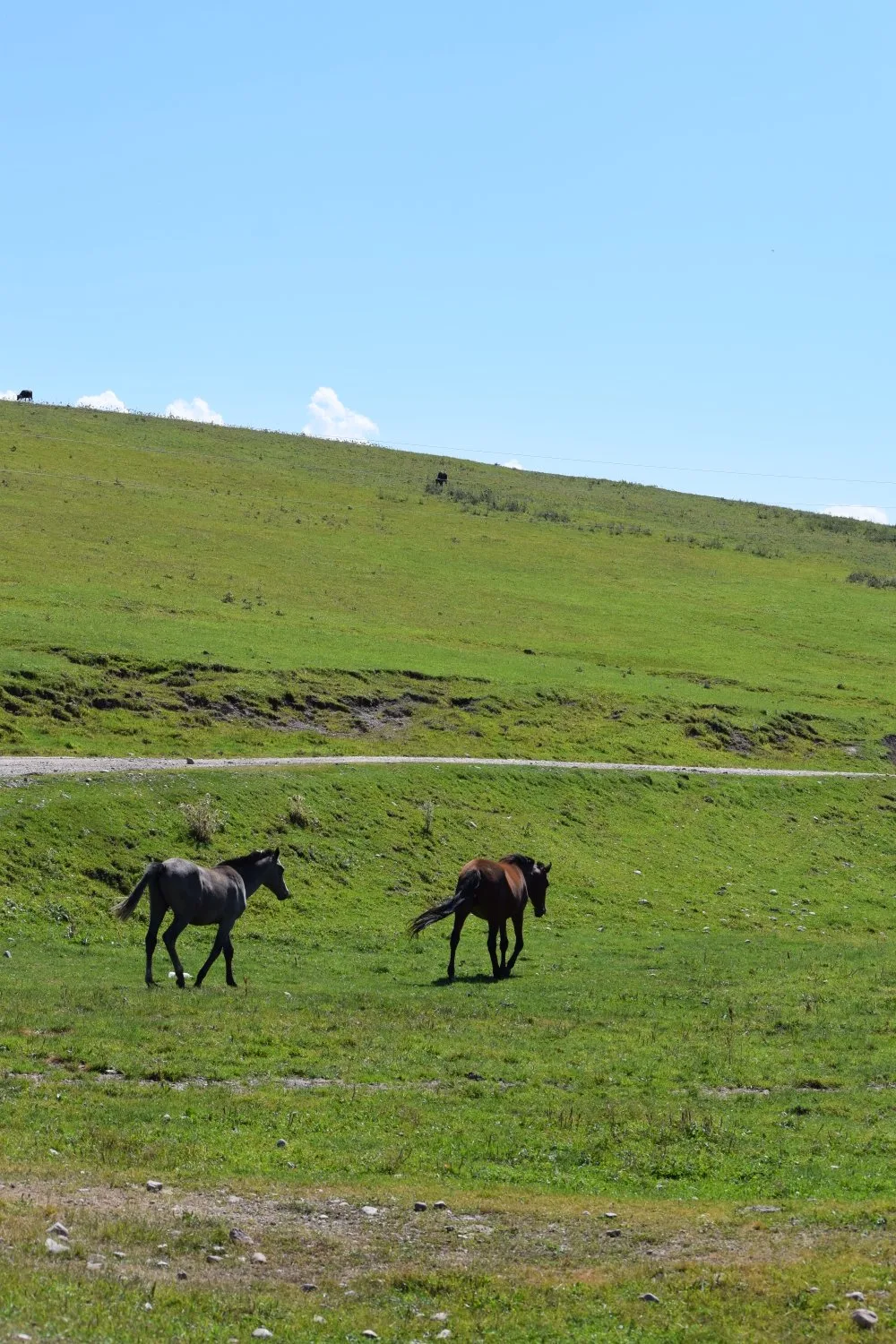col de Kyzyl Kiya
