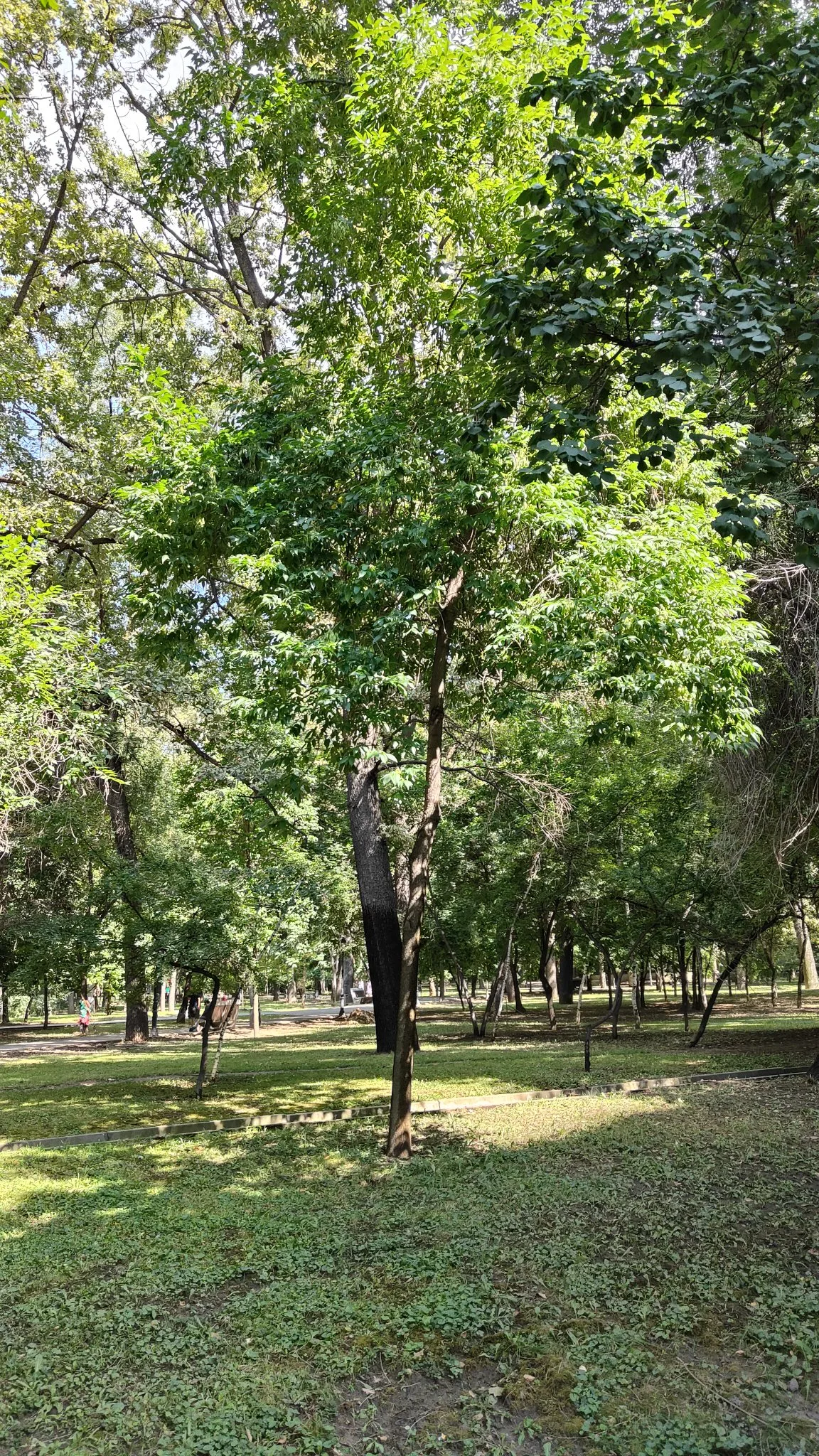 Almaty