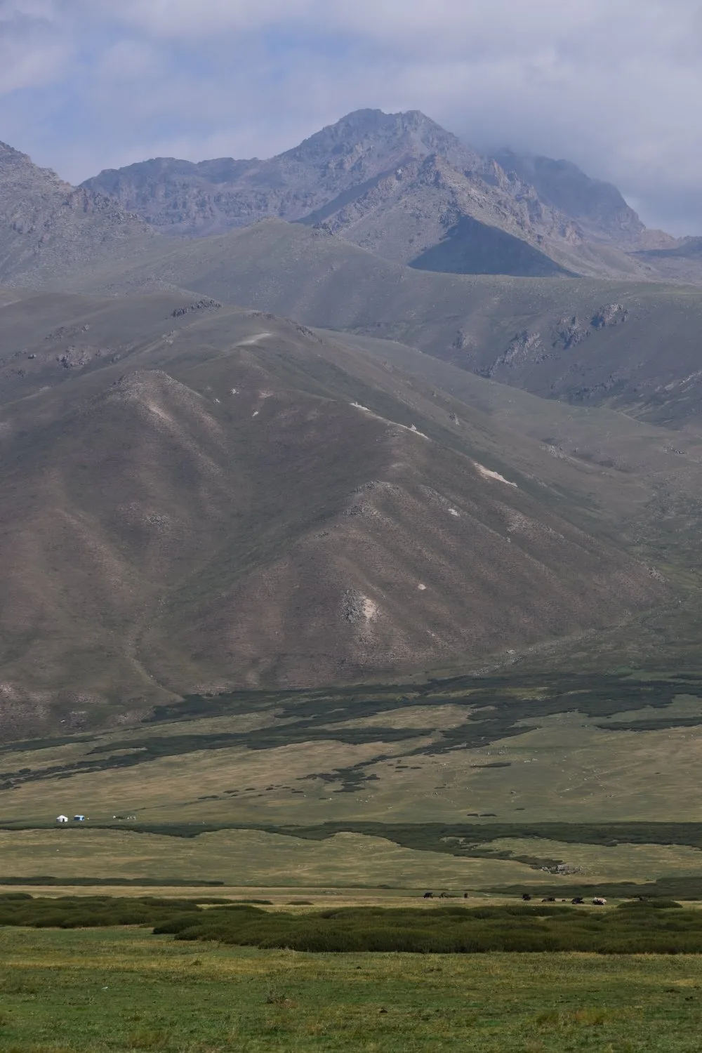 col Taldyk