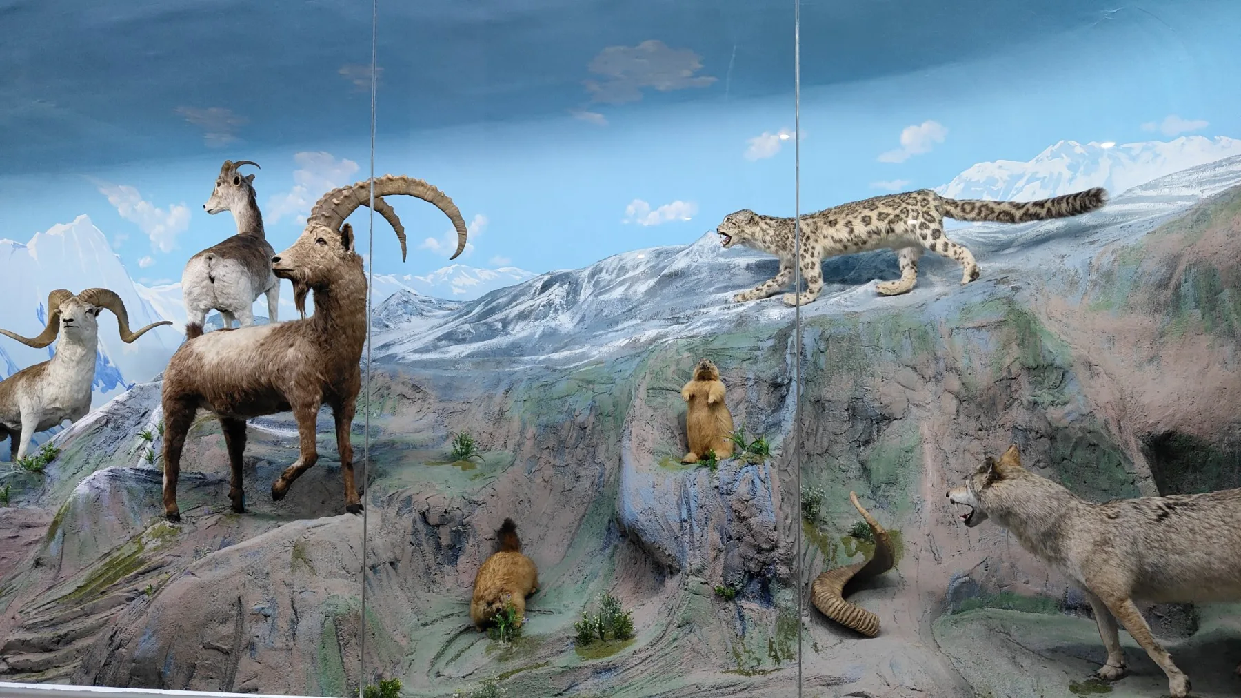 musée national du Tadjikistan - Douchanbé