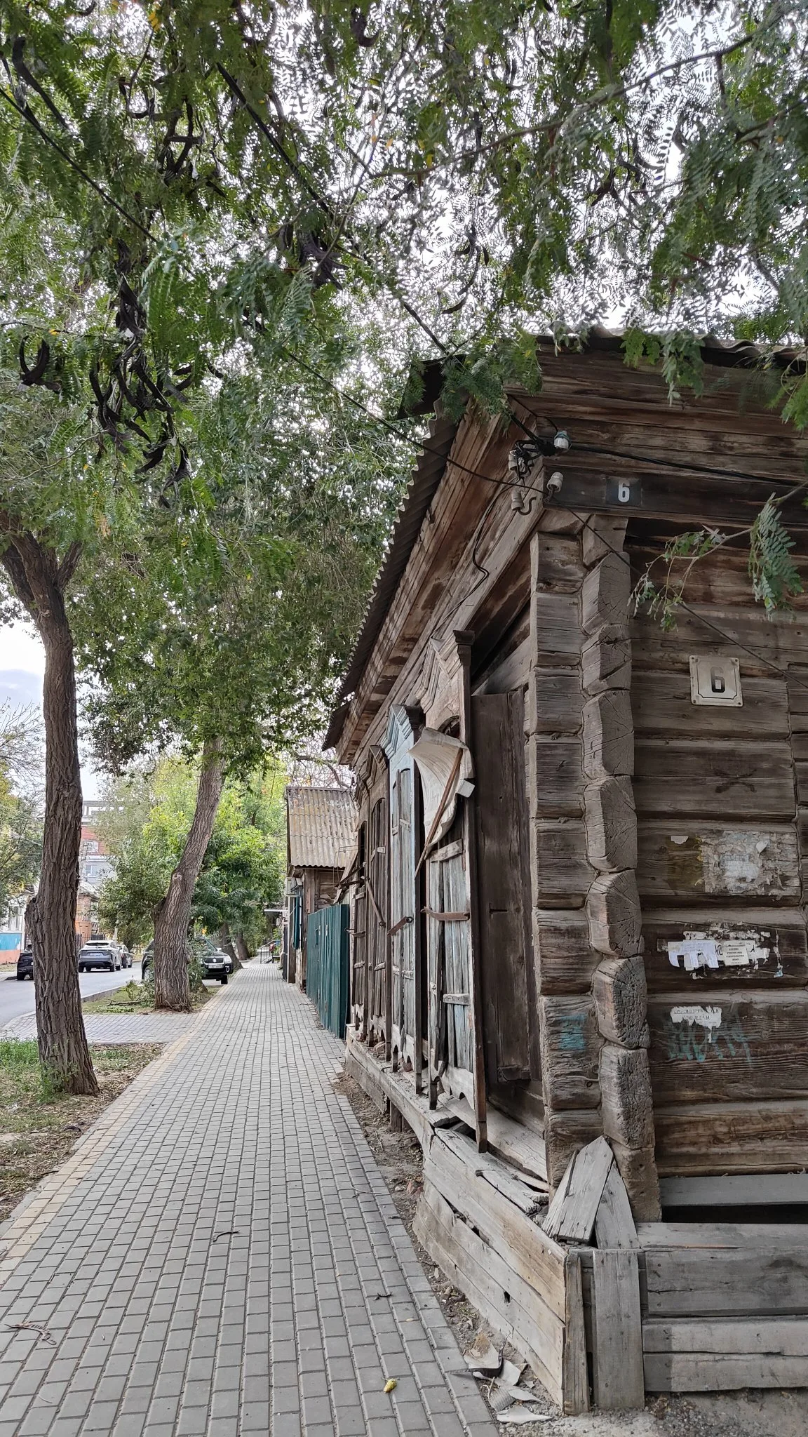 Astrakhan