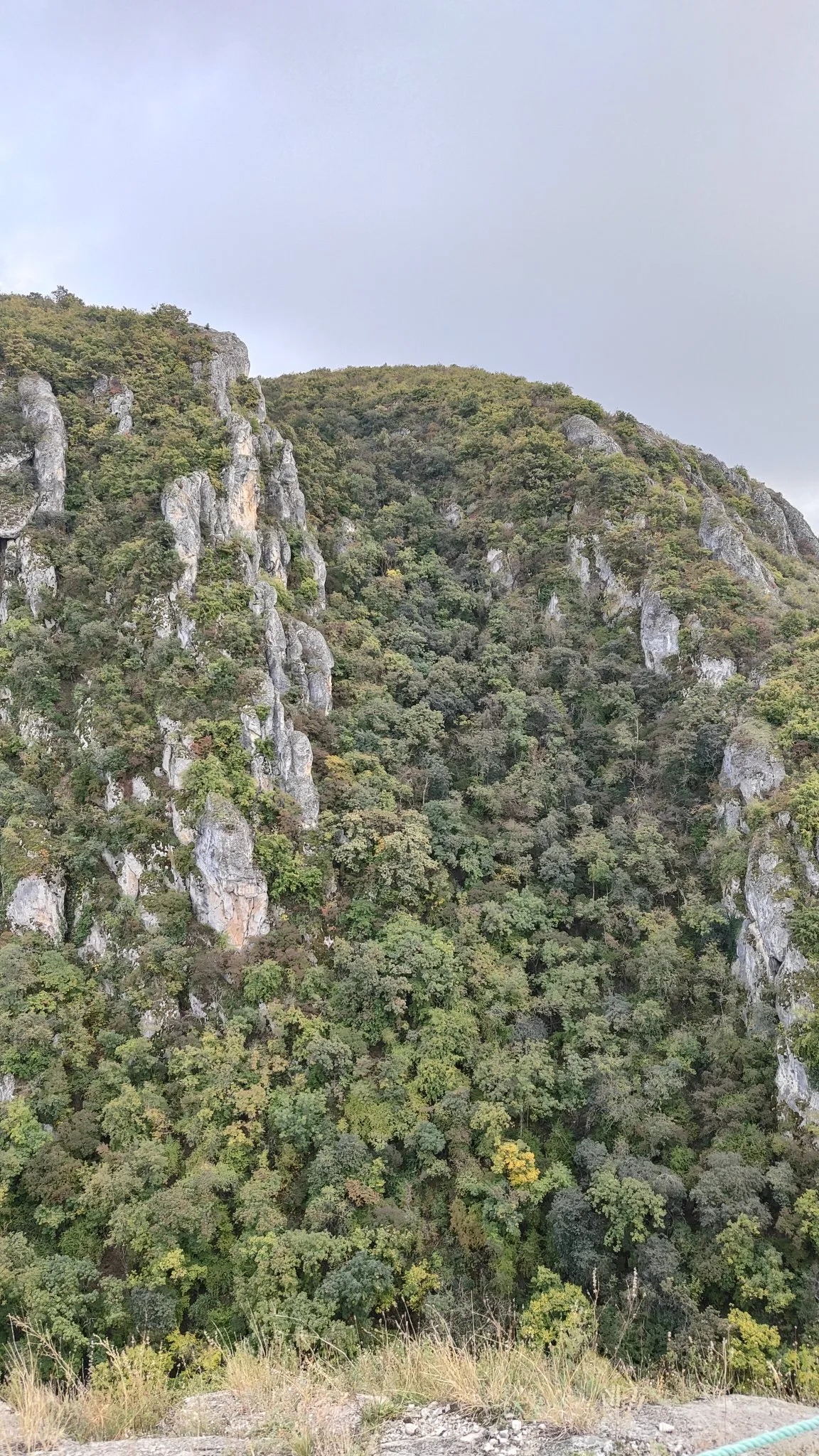 Gorge de l'aigle - Vashlovani