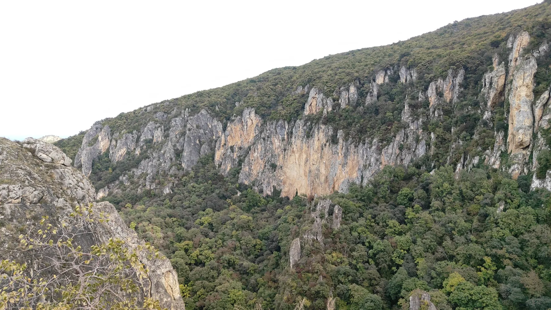 Gorge de l'aigle - Vashlovani